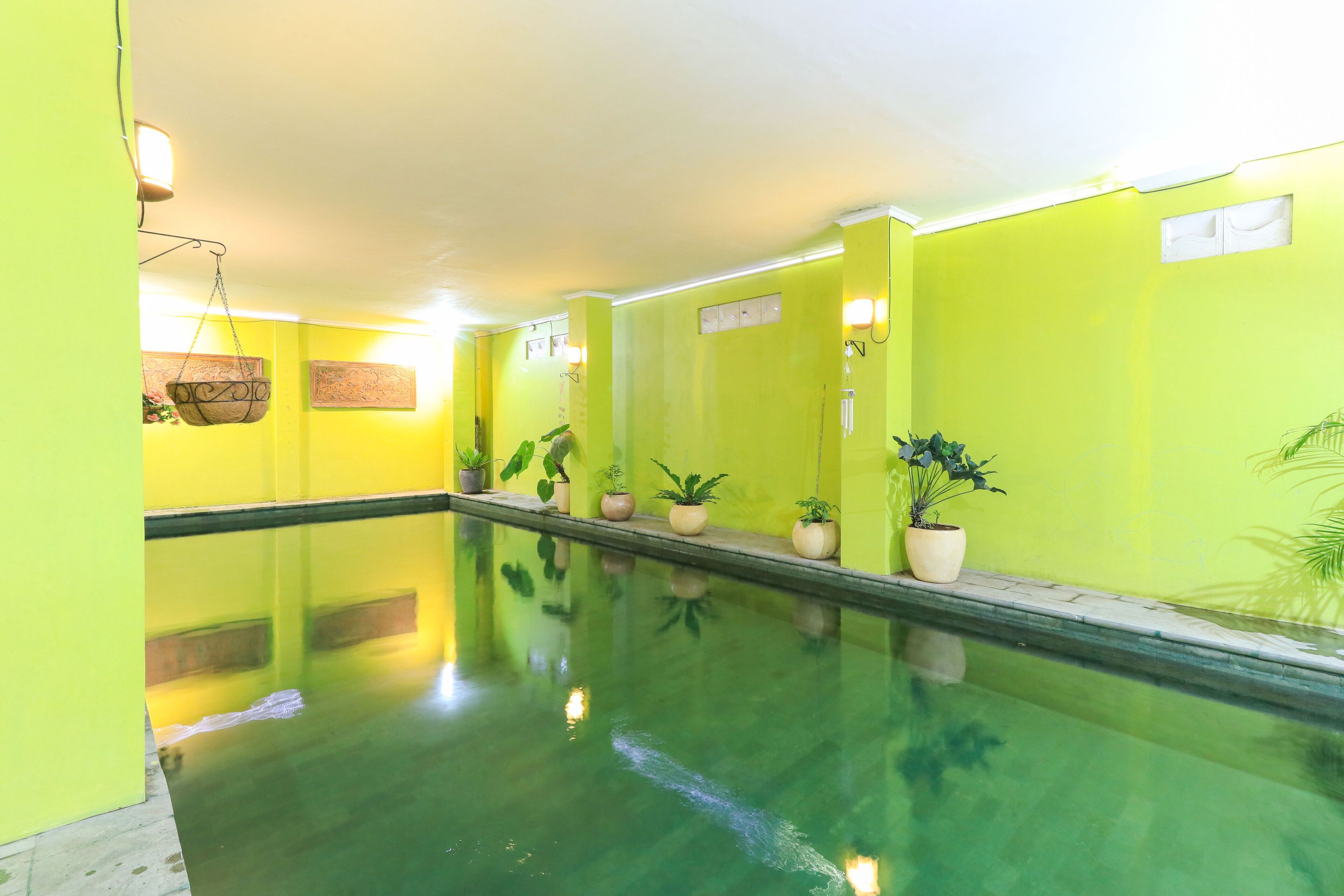 Lavender Hostel