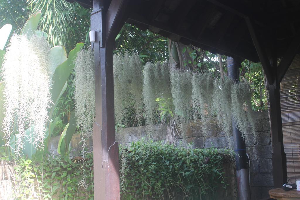 Louto Dmell Home Stay