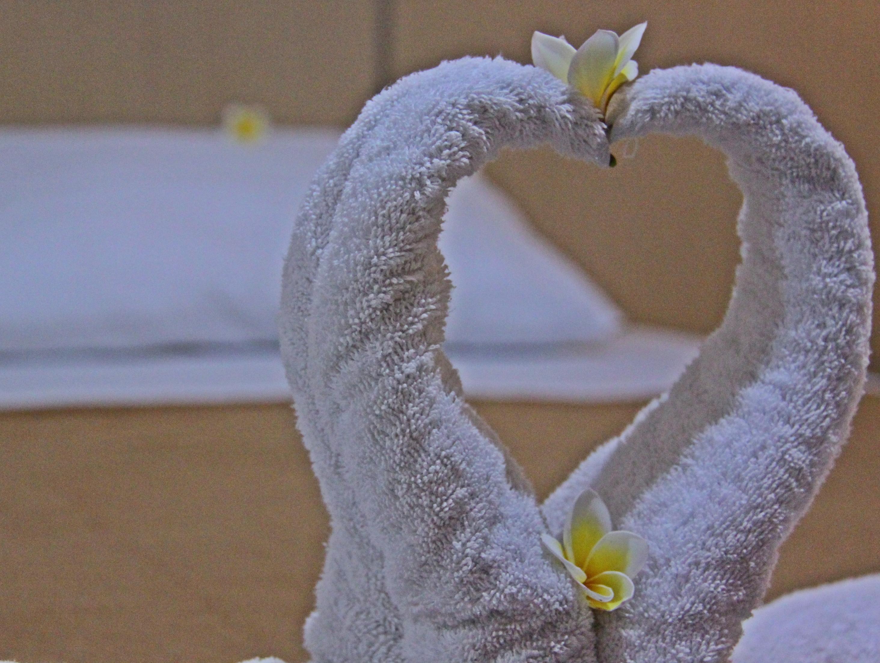 Luxio Hotel Denpasar and Convention Center