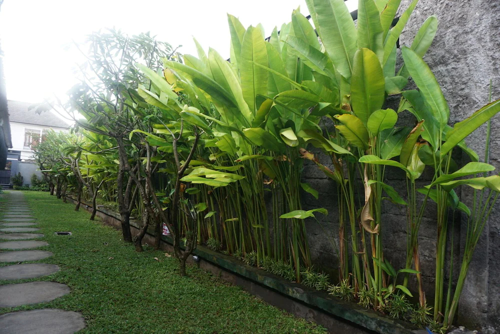 Mai Guesthouse Sanur