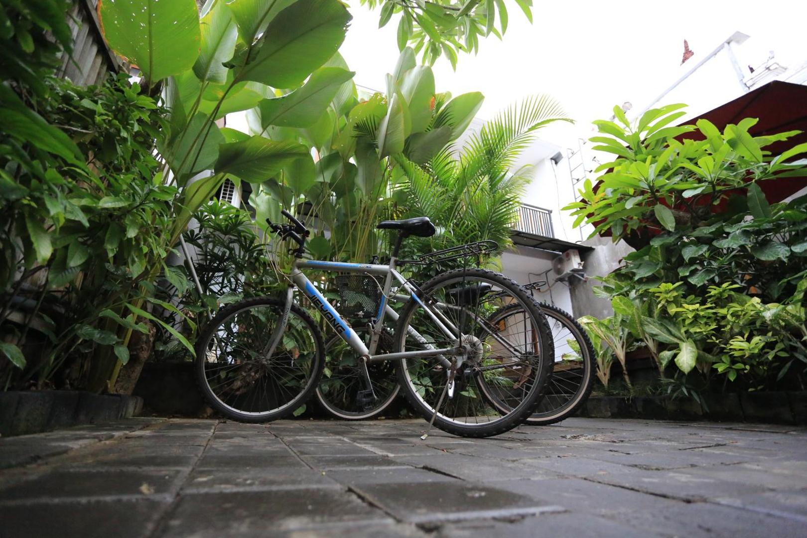 Nyoman Villa