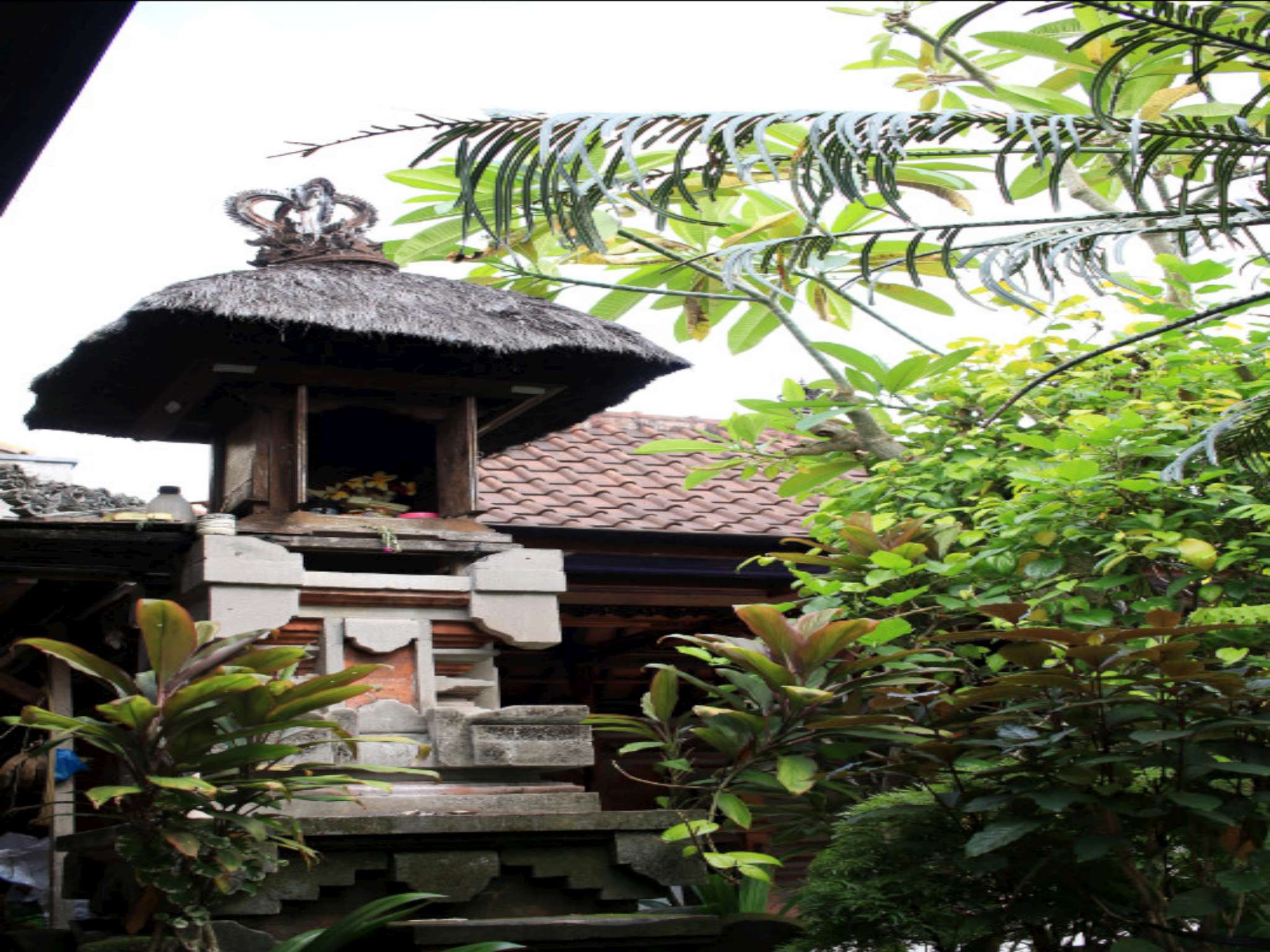 Simon Homestay