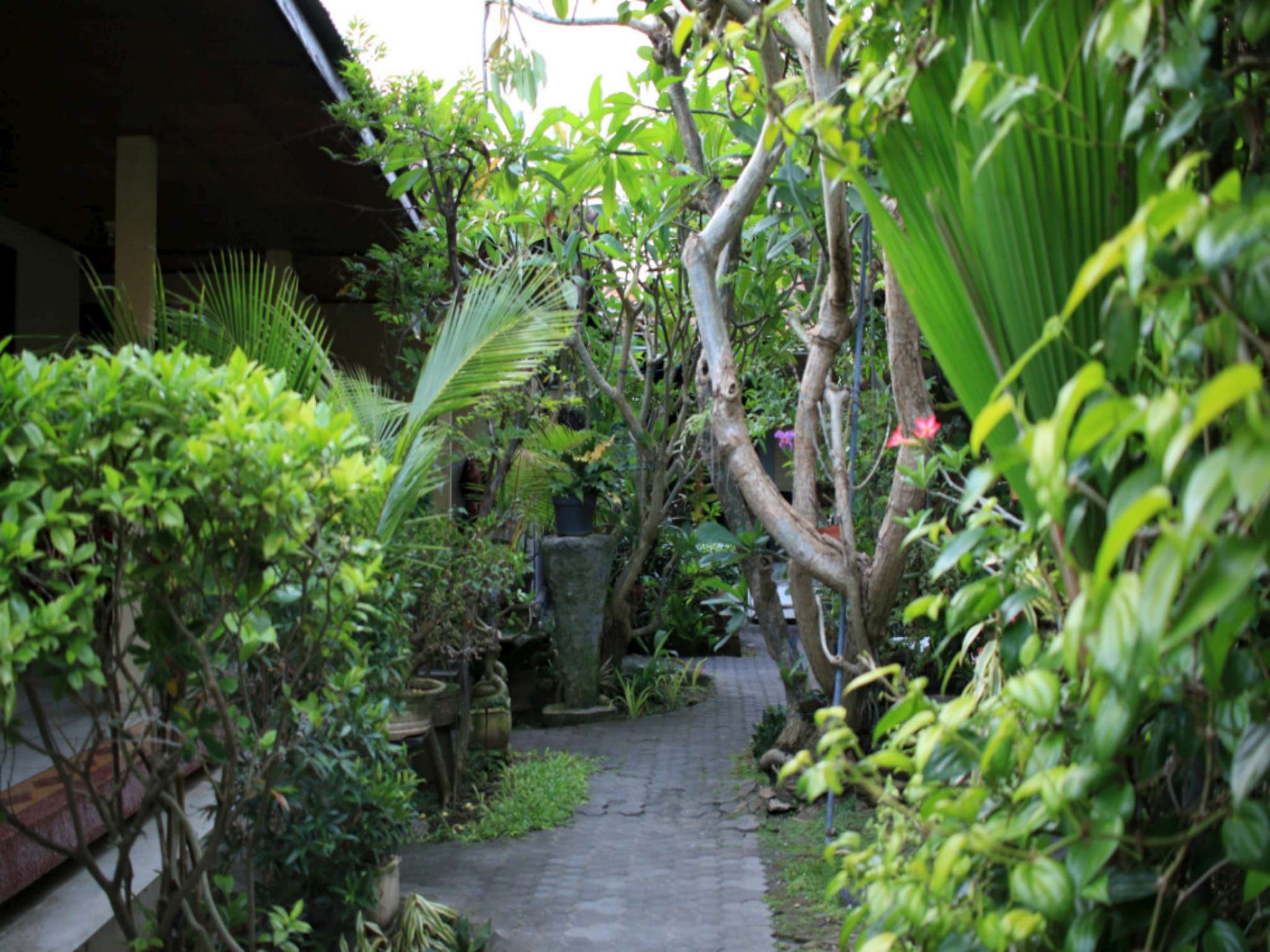 Simon Homestay