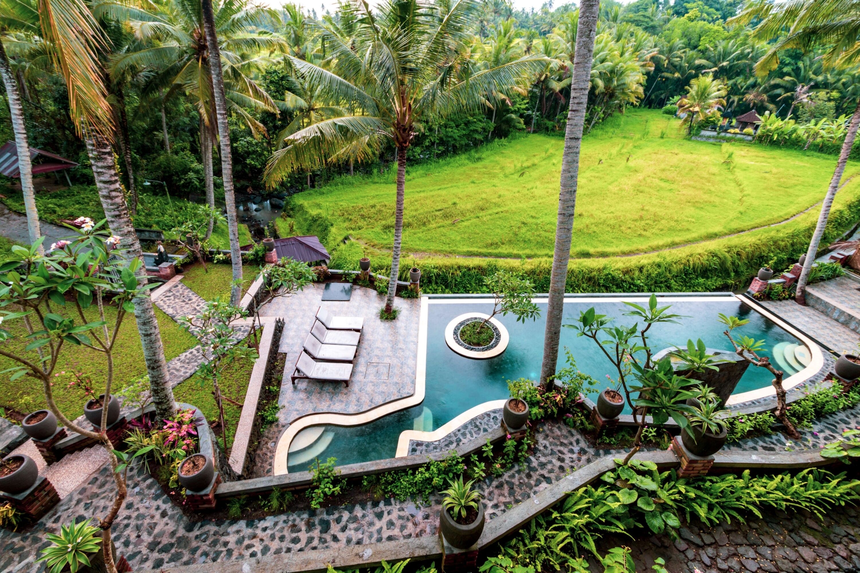Uma Sari Rice Terrace