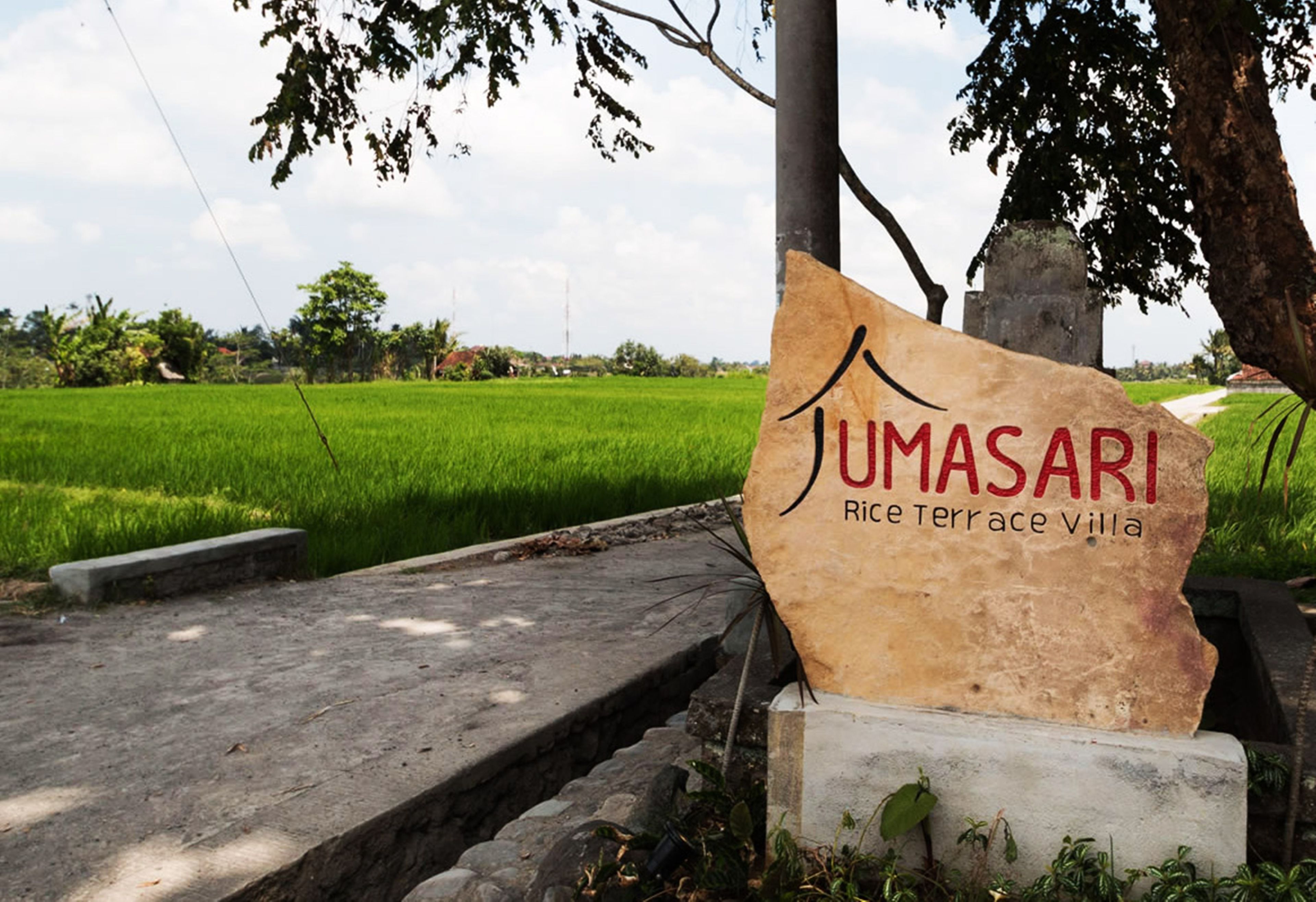 Uma Sari Rice Terrace