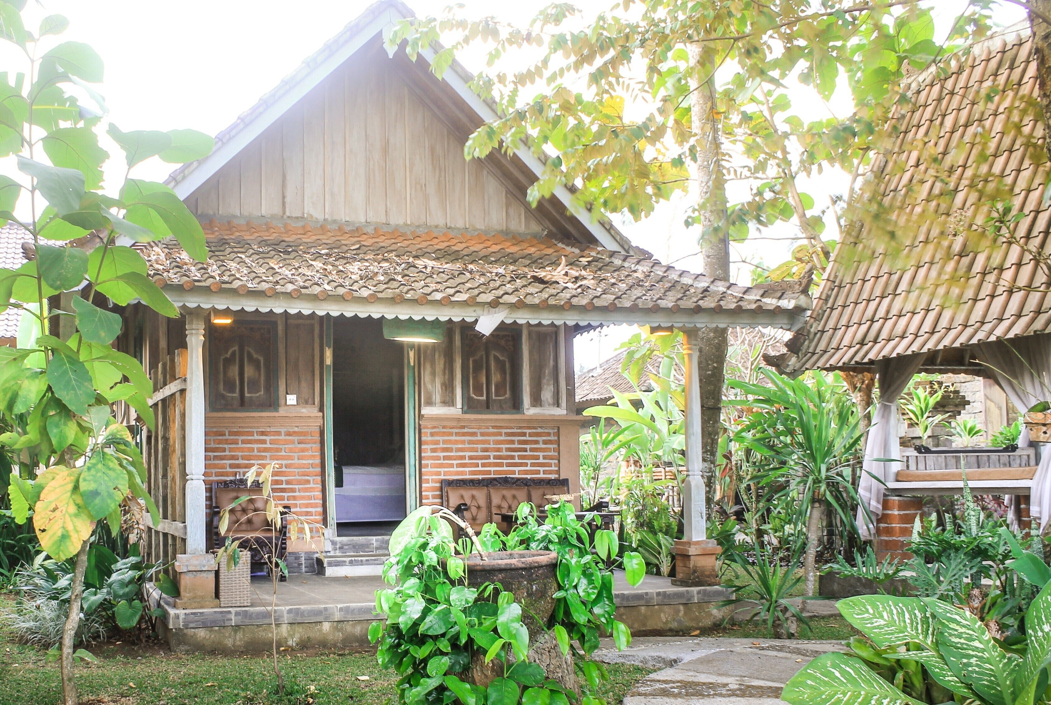 Uma Sari Rice Terrace