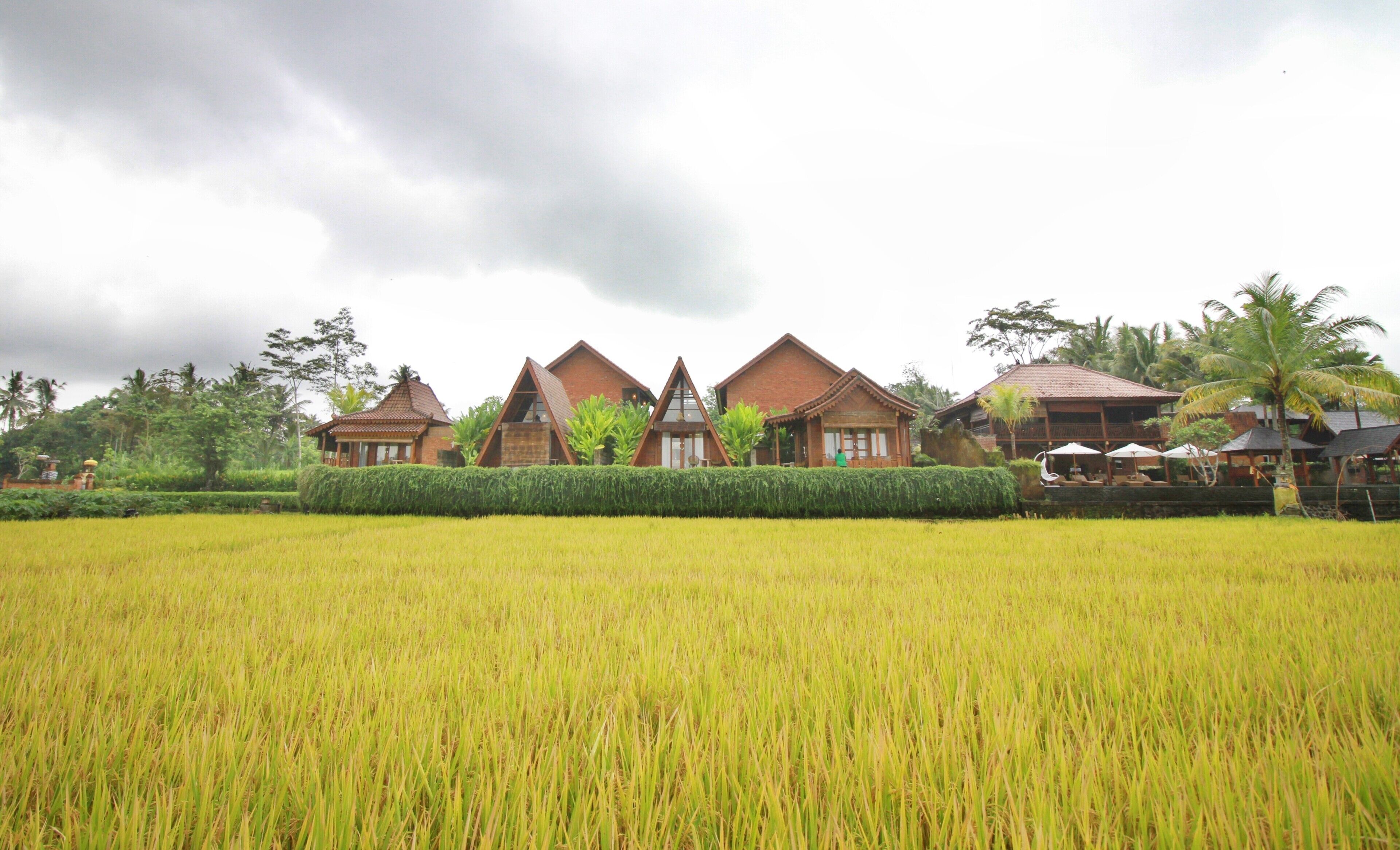 Alam Kawi Ubud Resort & Spa