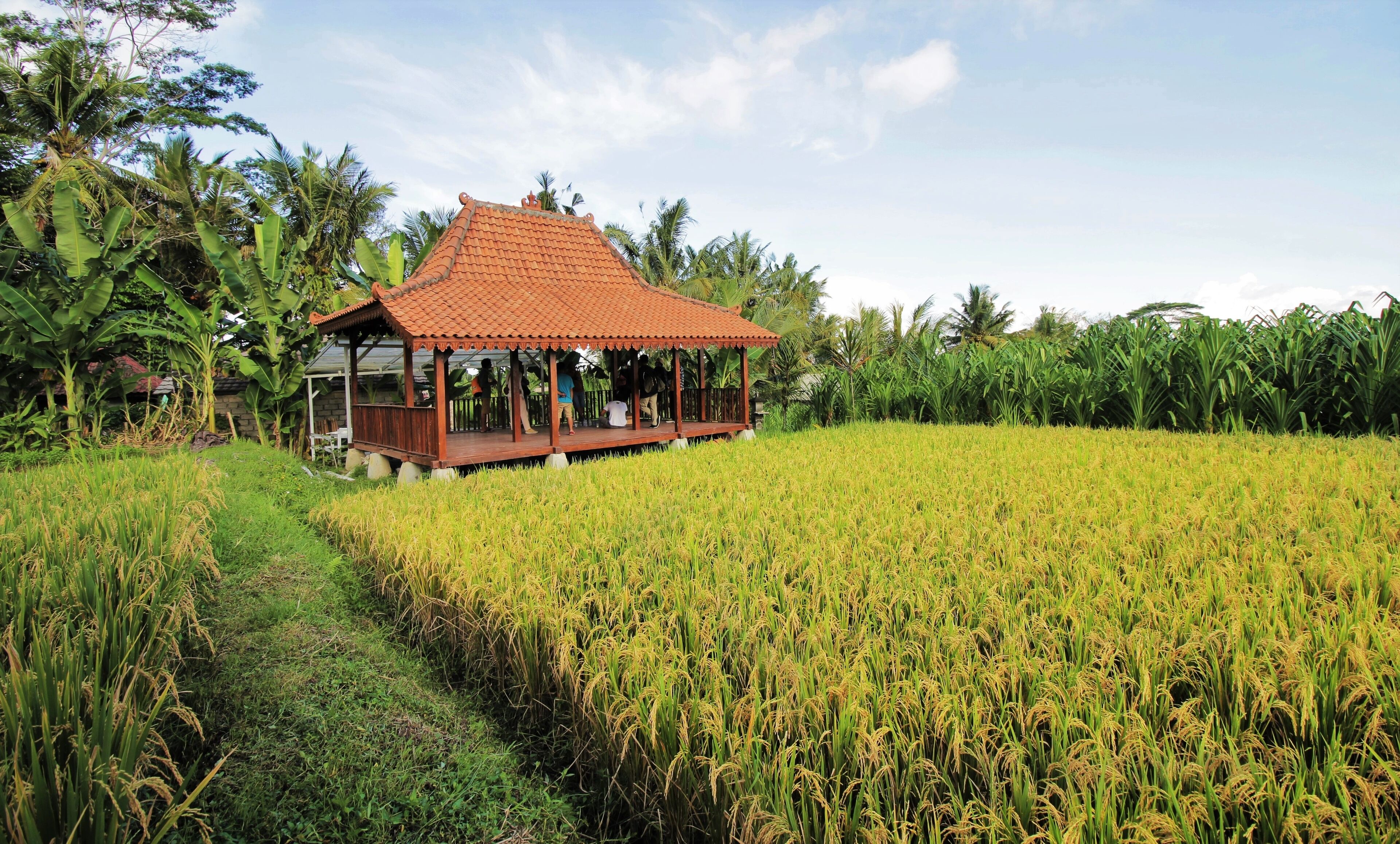 Alam Kawi Ubud Resort & Spa