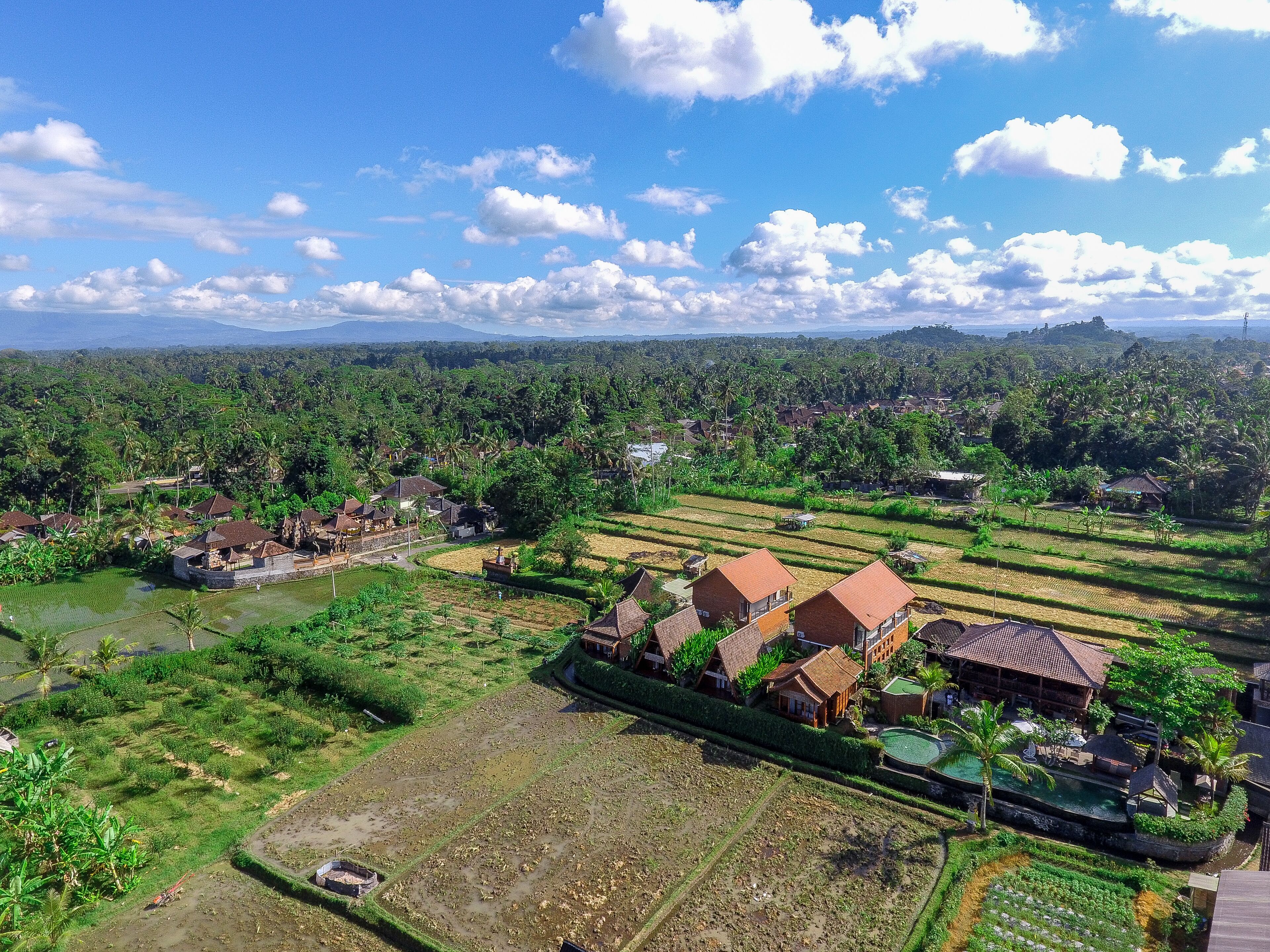 Alam Kawi Ubud Resort & Spa