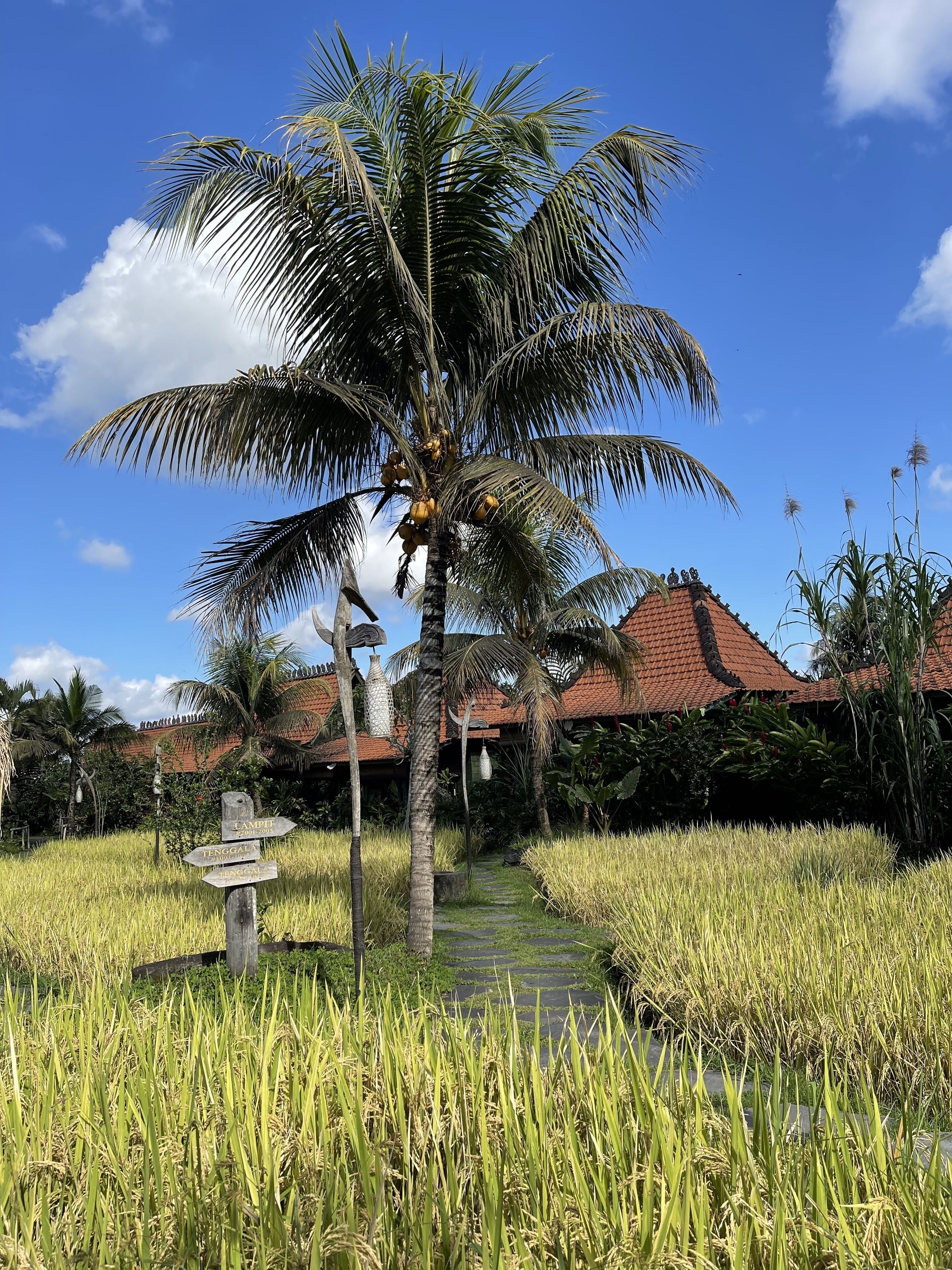 Arya Arkananta Eco Resort & Spa