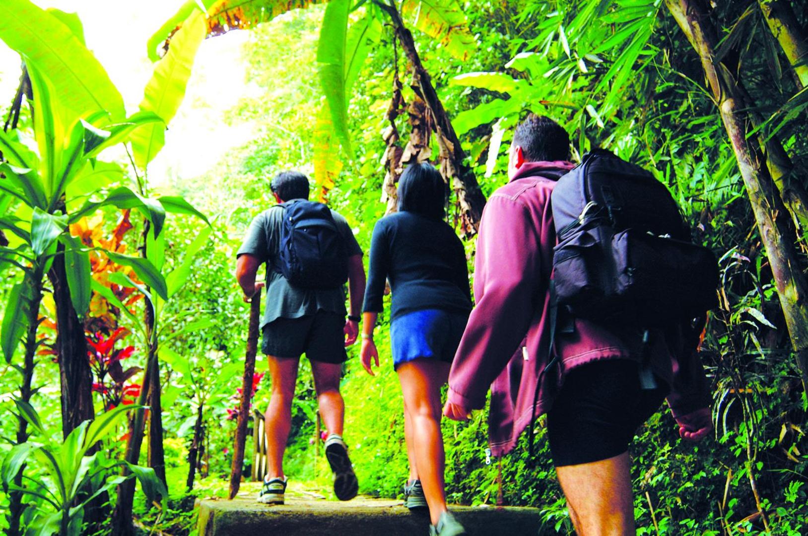 Bagus Jati Health & Well Being Retreat