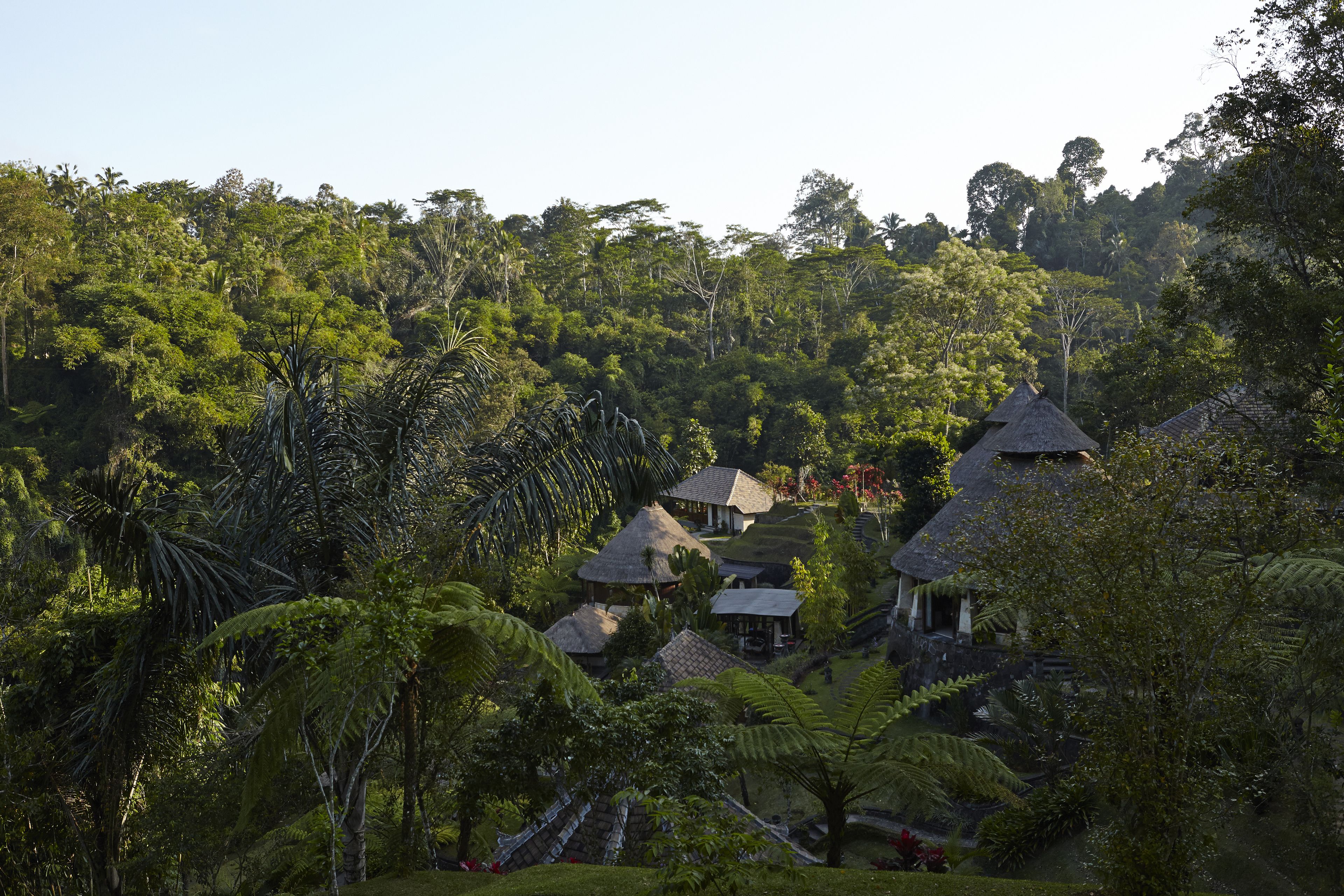 Bagus Jati Health & Well Being Retreat