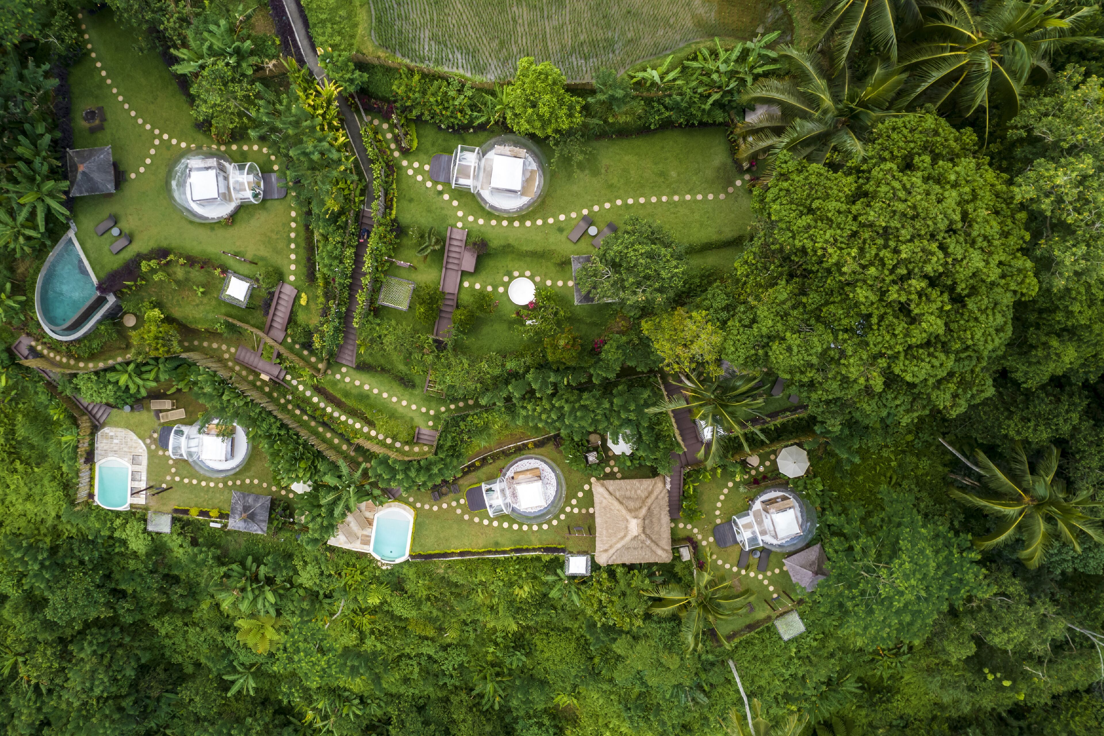 Bubble Hotel Ubud