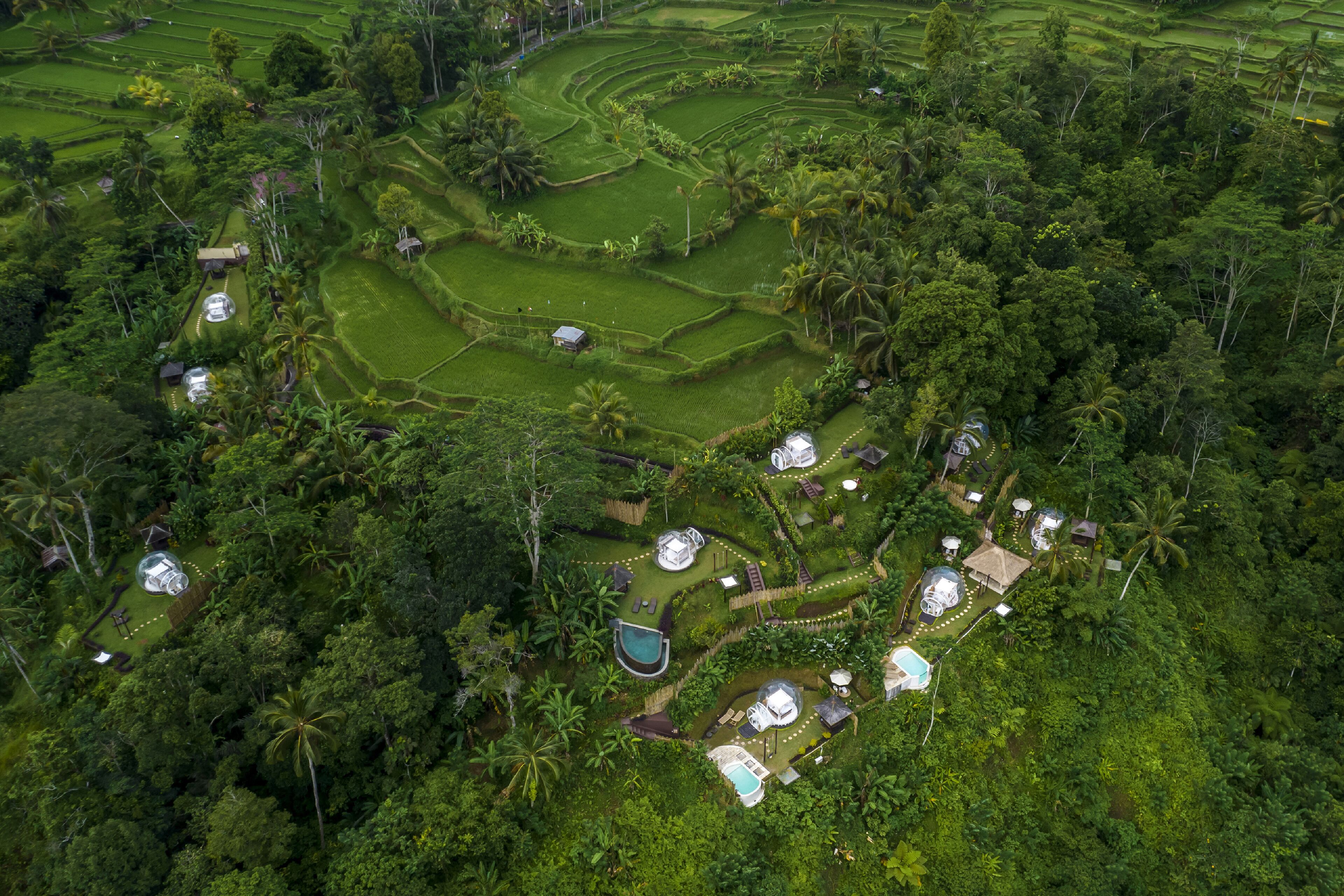 Bubble Hotel Ubud