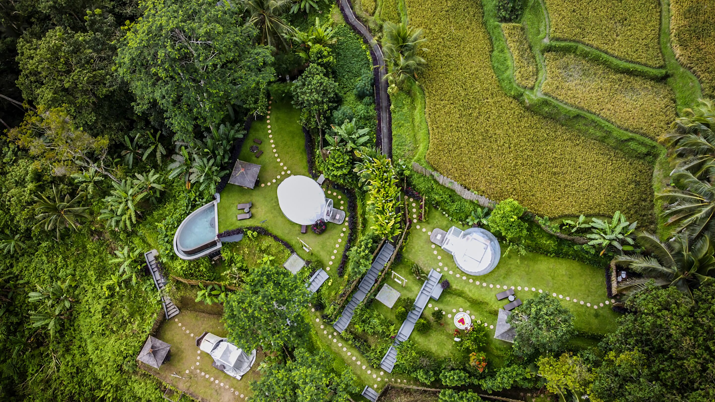 Bubble Hotel Ubud