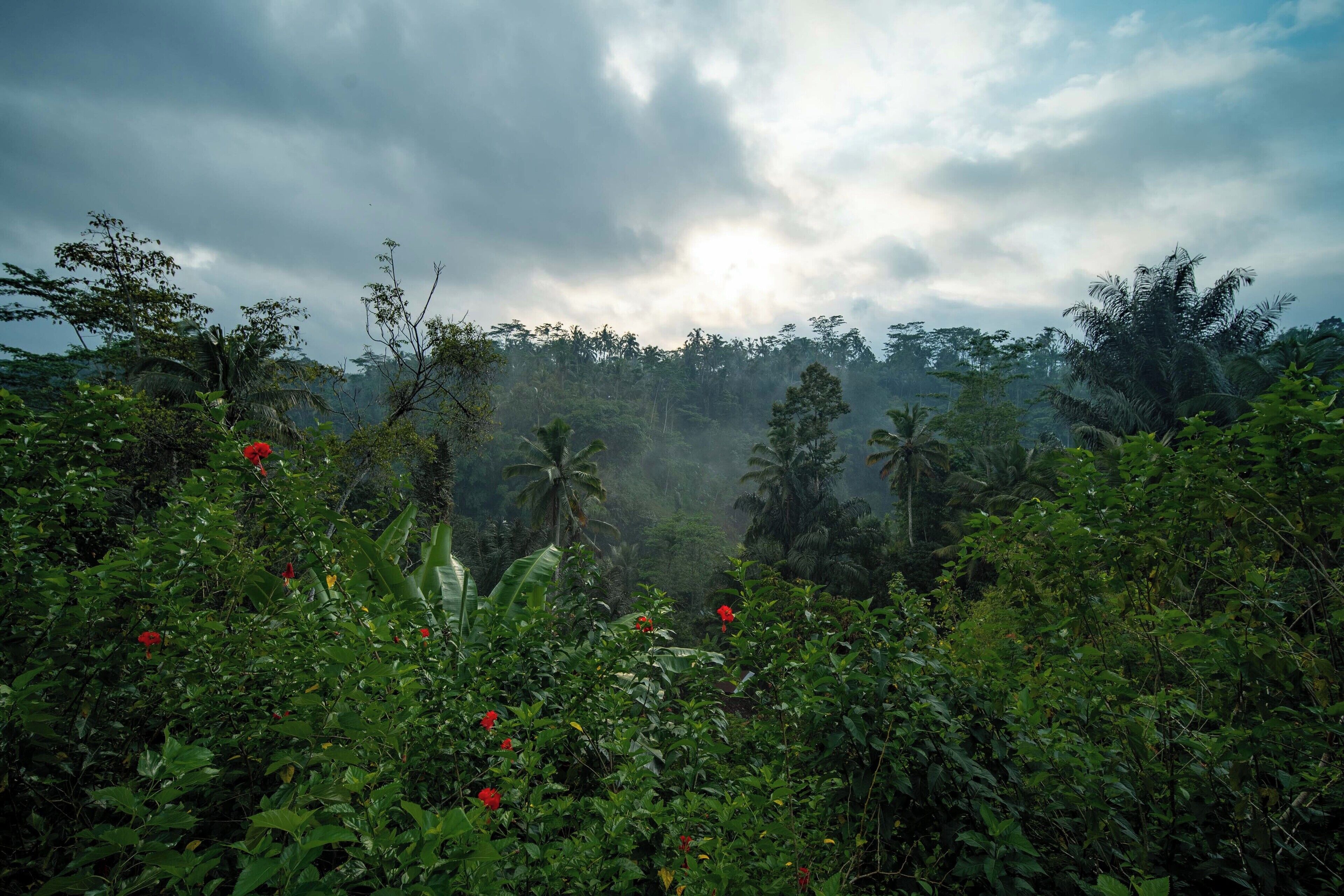 Campuhan Sebatu Resort