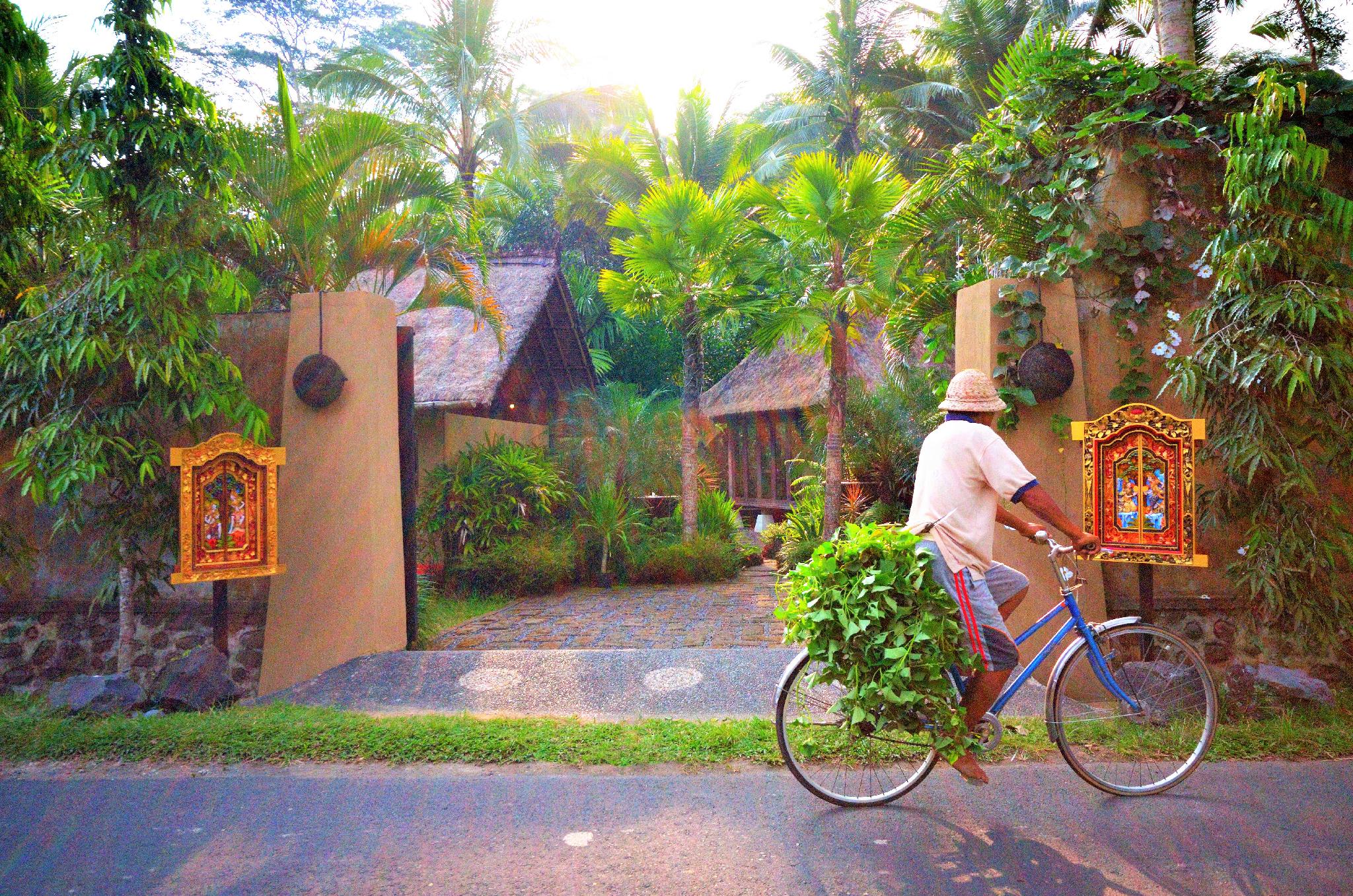 Jendela Di Bali Villa