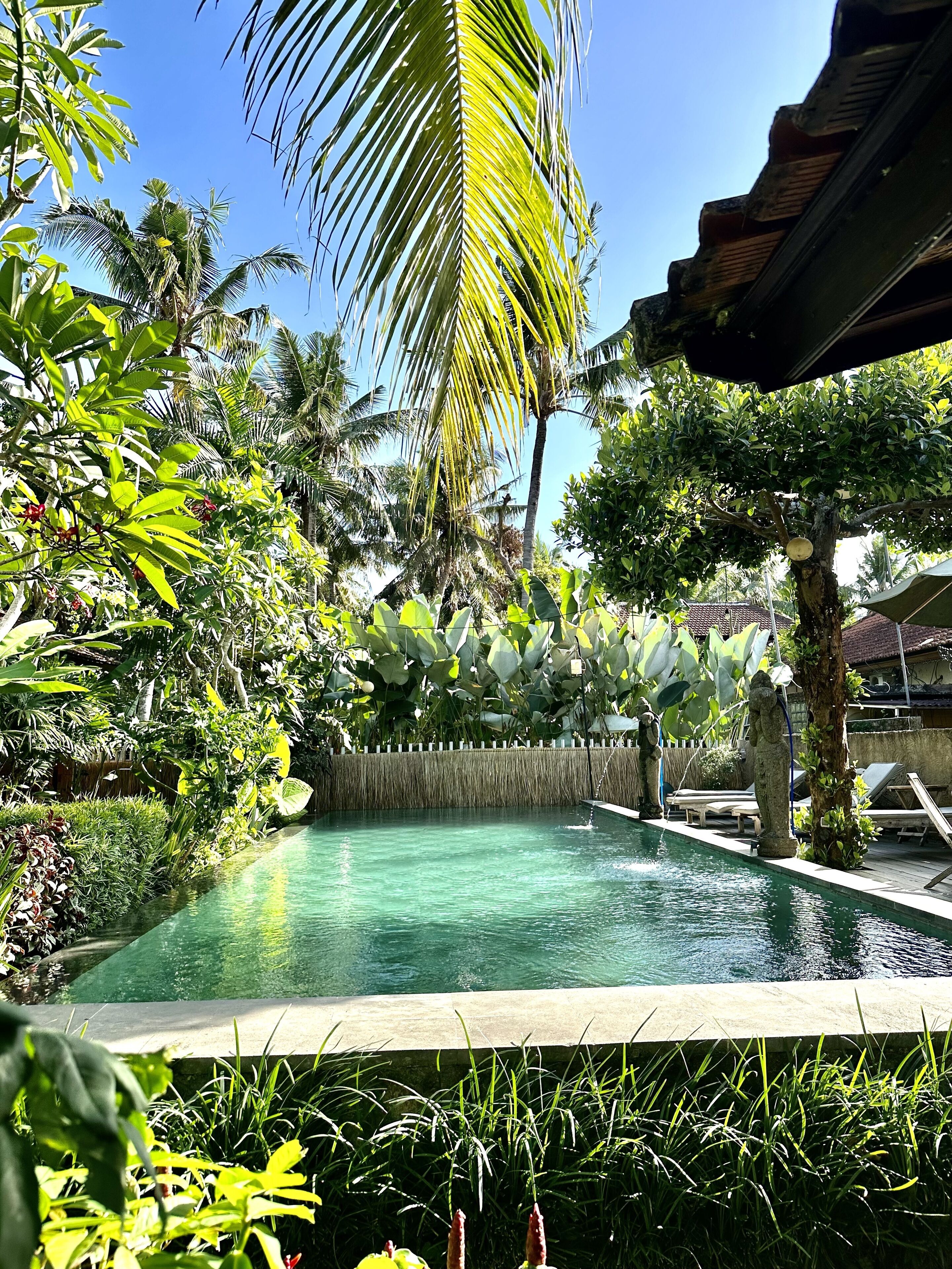 Kailash Bali