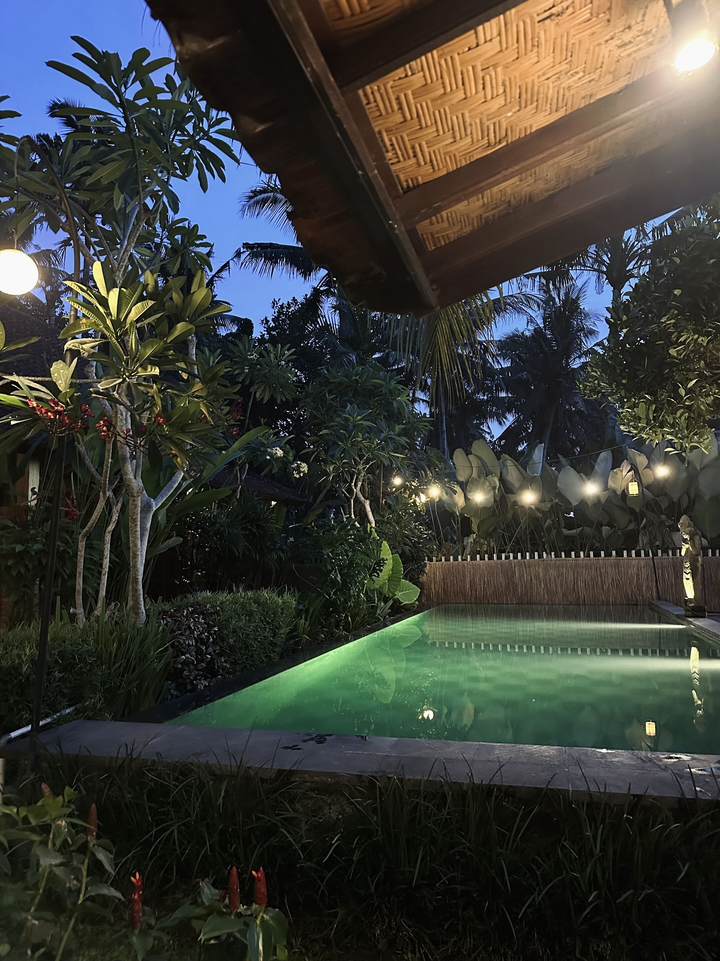 Kailash Bali