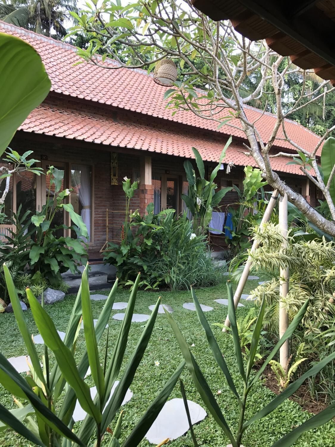 Kailash Bali