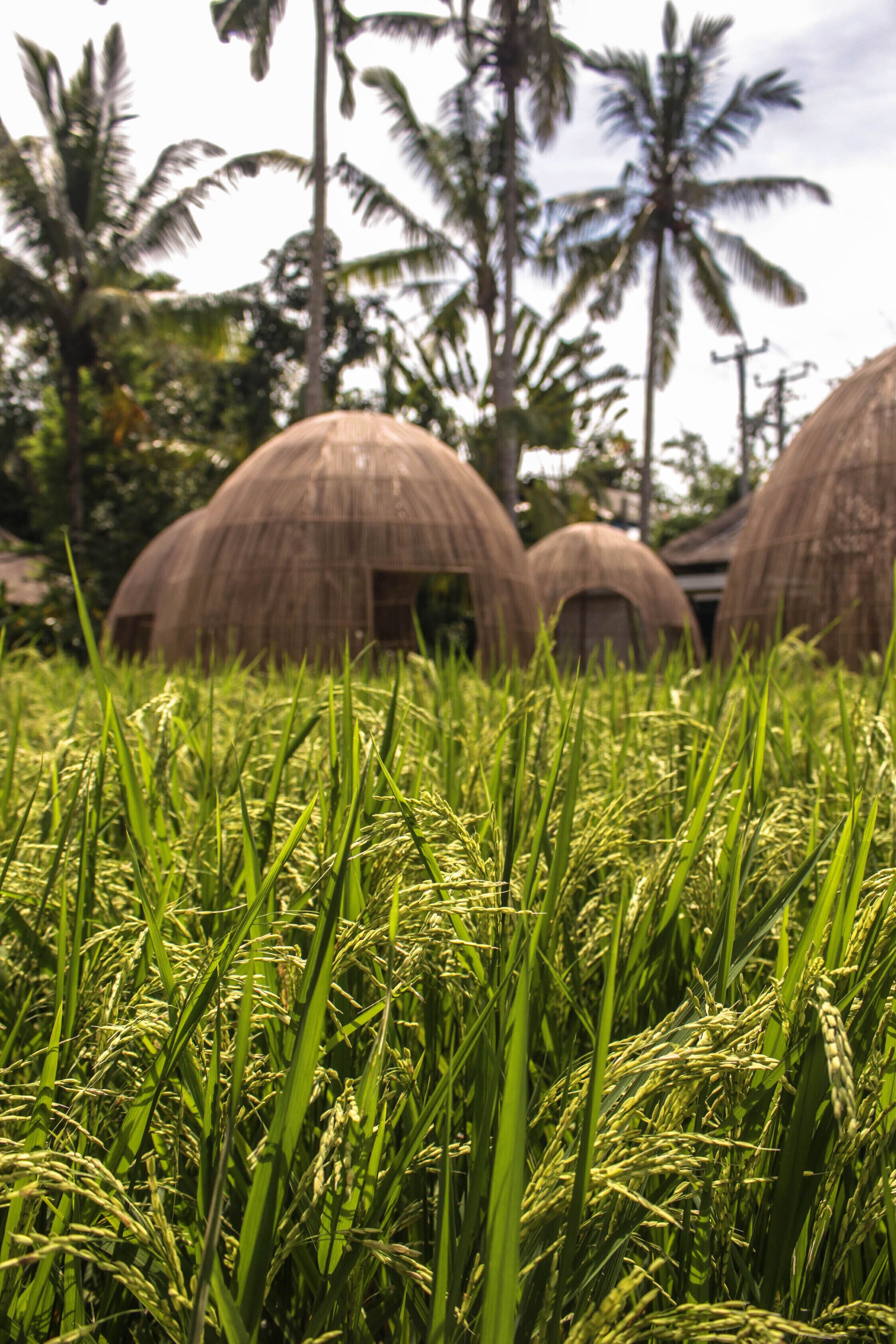 Keliki Luxury Lodge