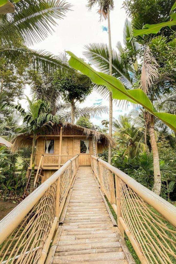 Lumbung Langit Bali House and Hostel