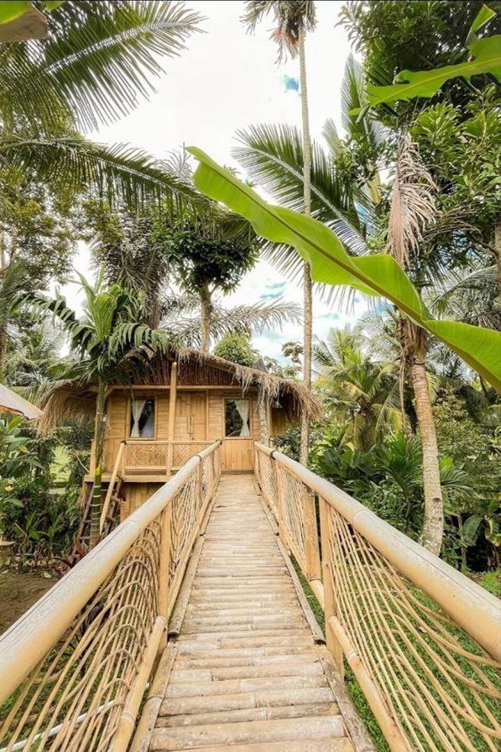 Lumbung Langit Bali House and Hostel