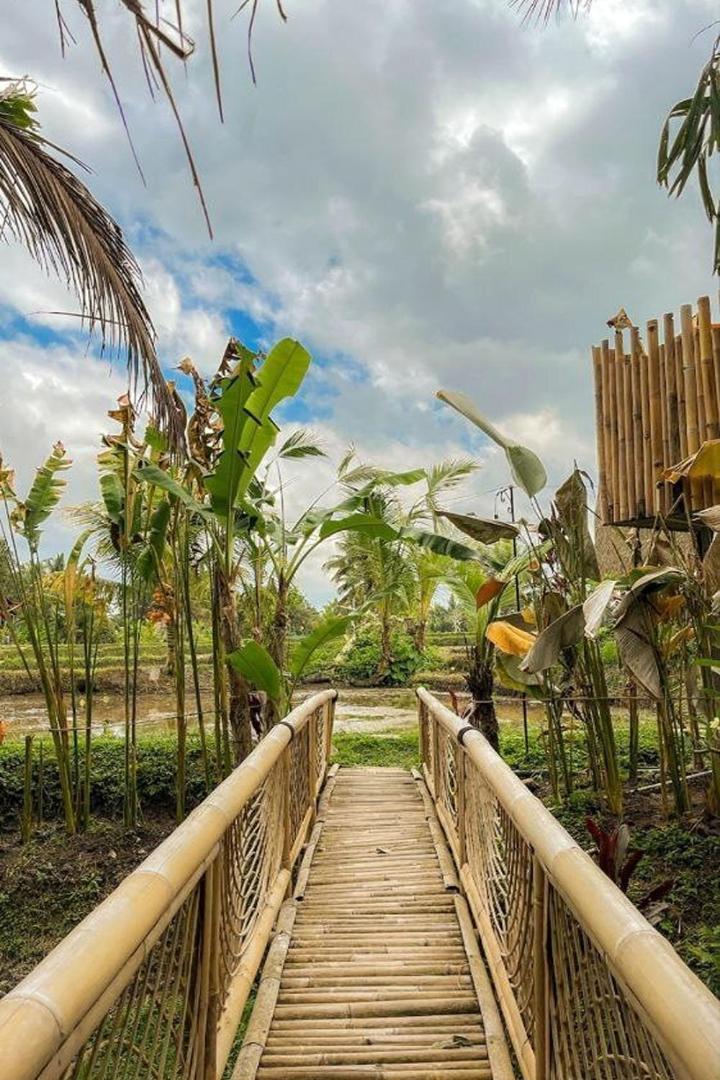 Lumbung Langit Bali House and Hostel