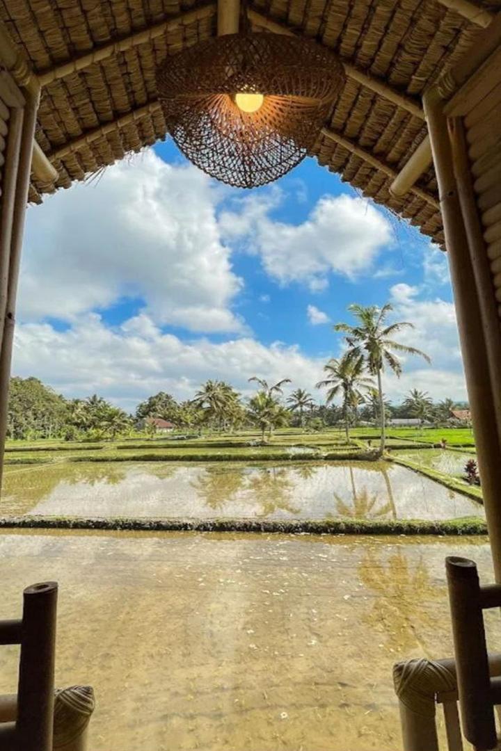 Lumbung Langit Bali House and Hostel