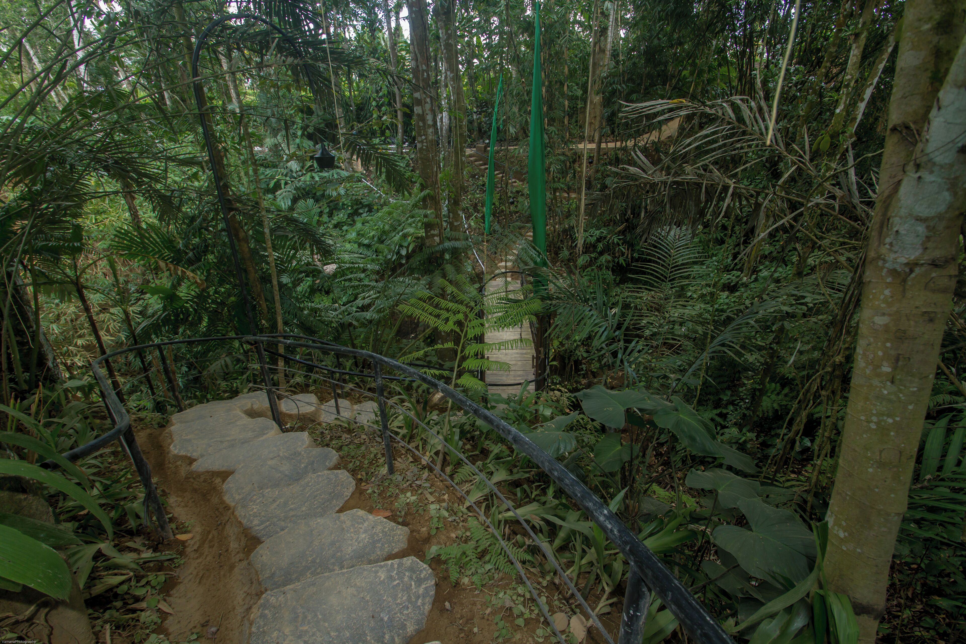 Sacred Canyon Ubud By Pramana Villas