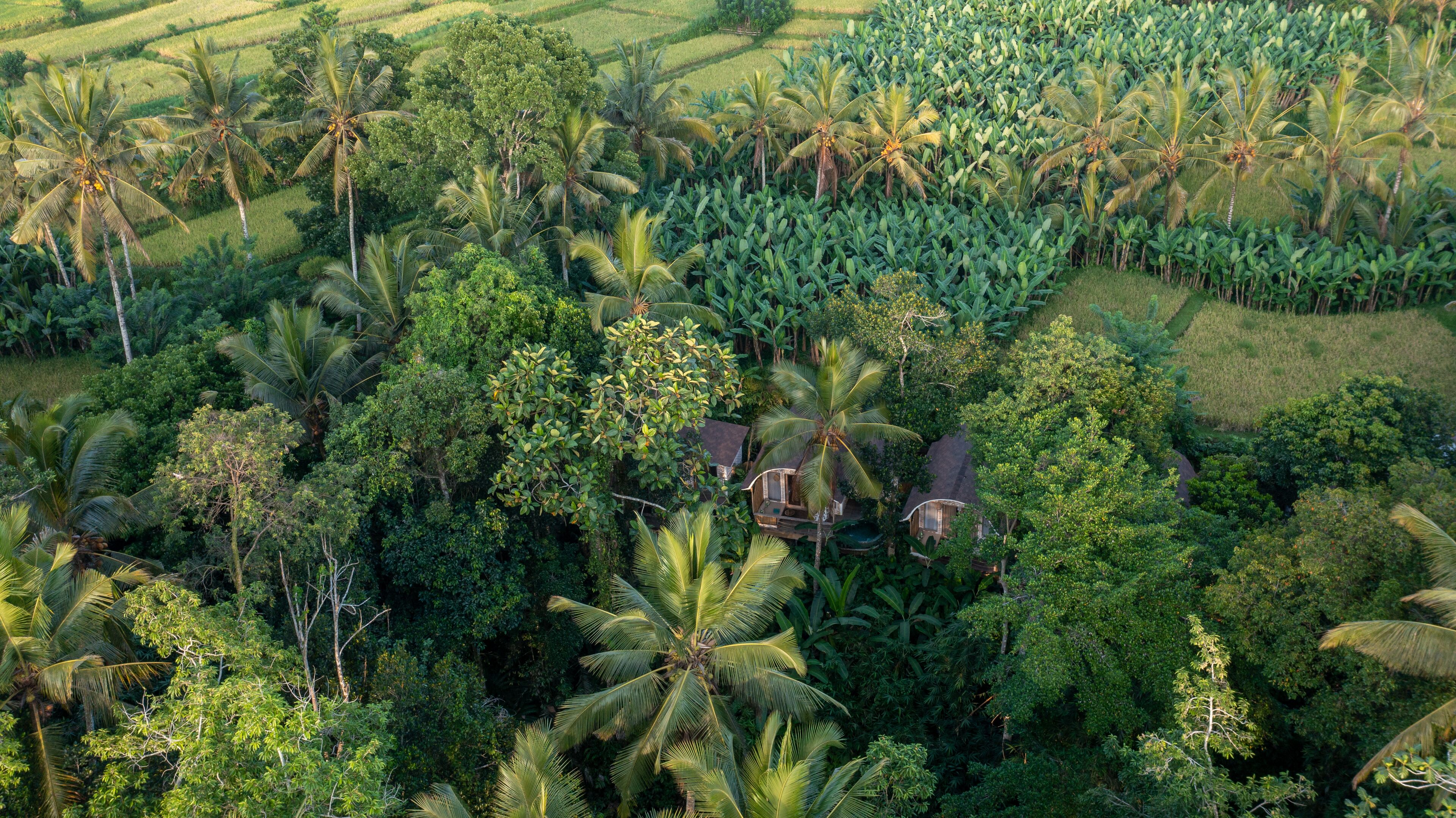 Sacred Canyon Ubud By Pramana Villas