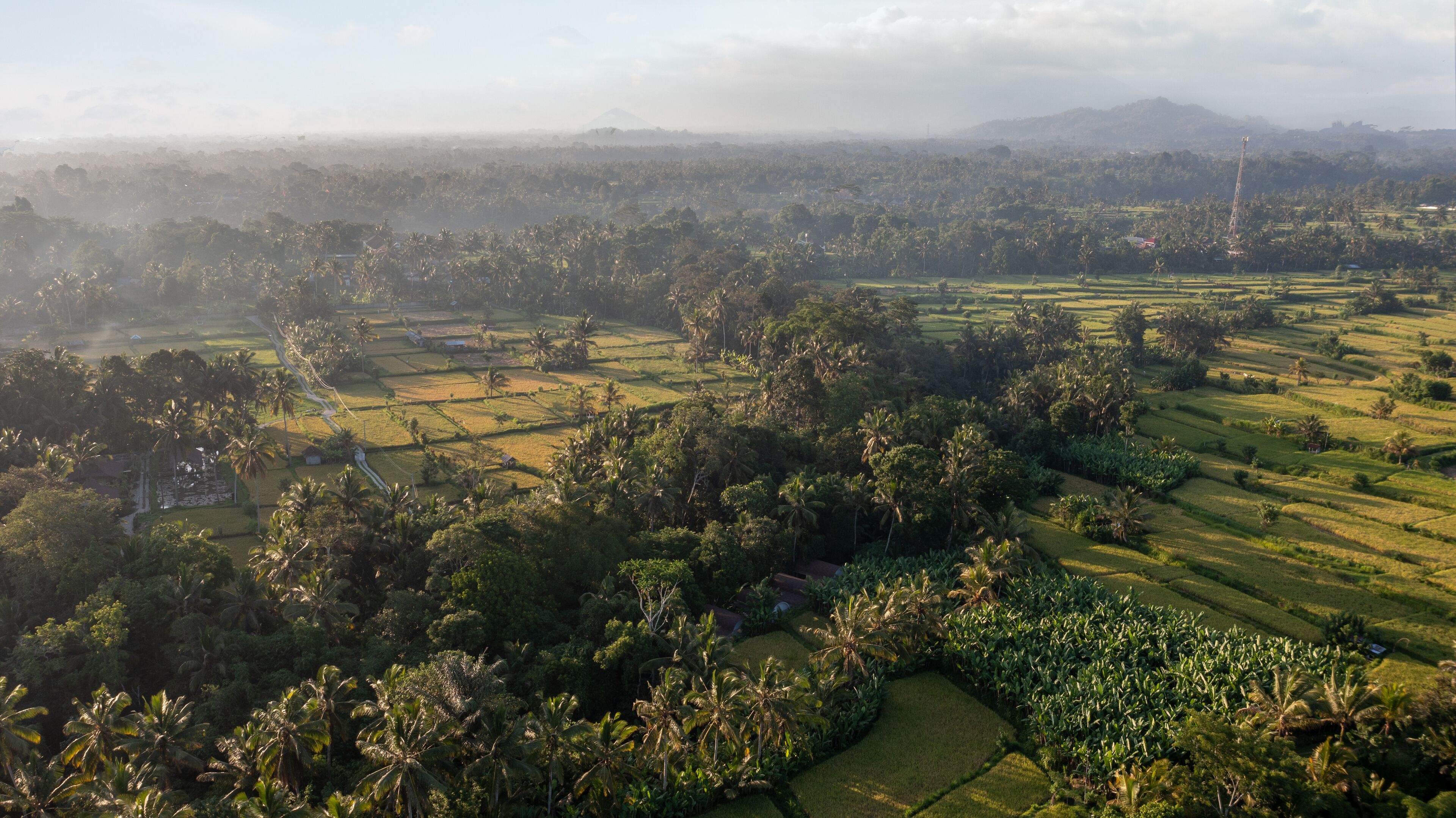 Sacred Canyon Ubud By Pramana Villas