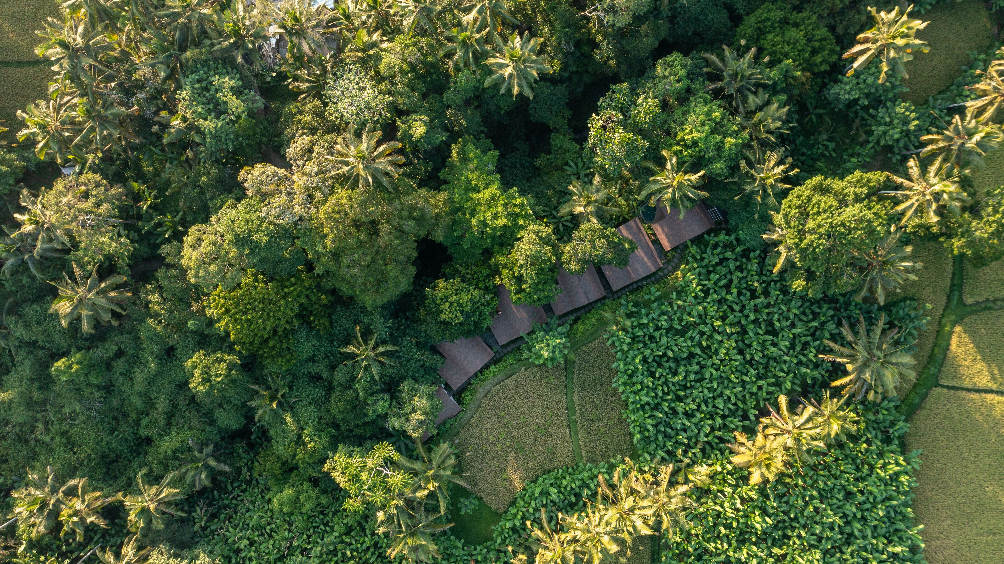 Sacred Canyon Ubud By Pramana Villas