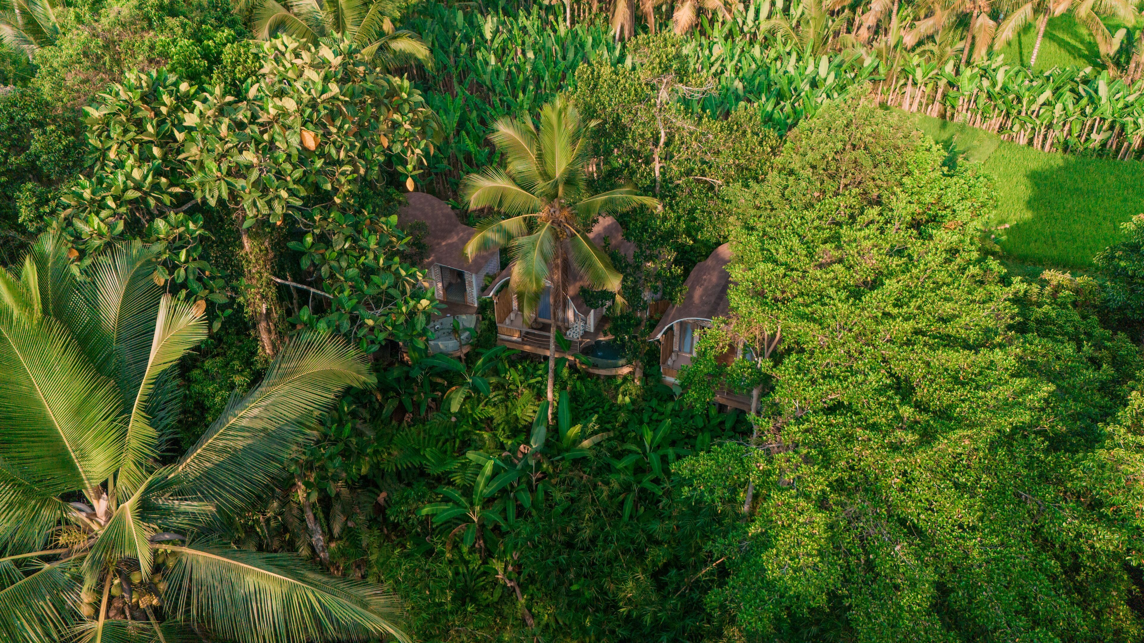 Sacred Canyon Ubud By Pramana Villas