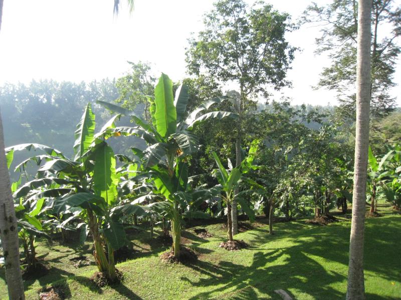 Sanggingan Villa