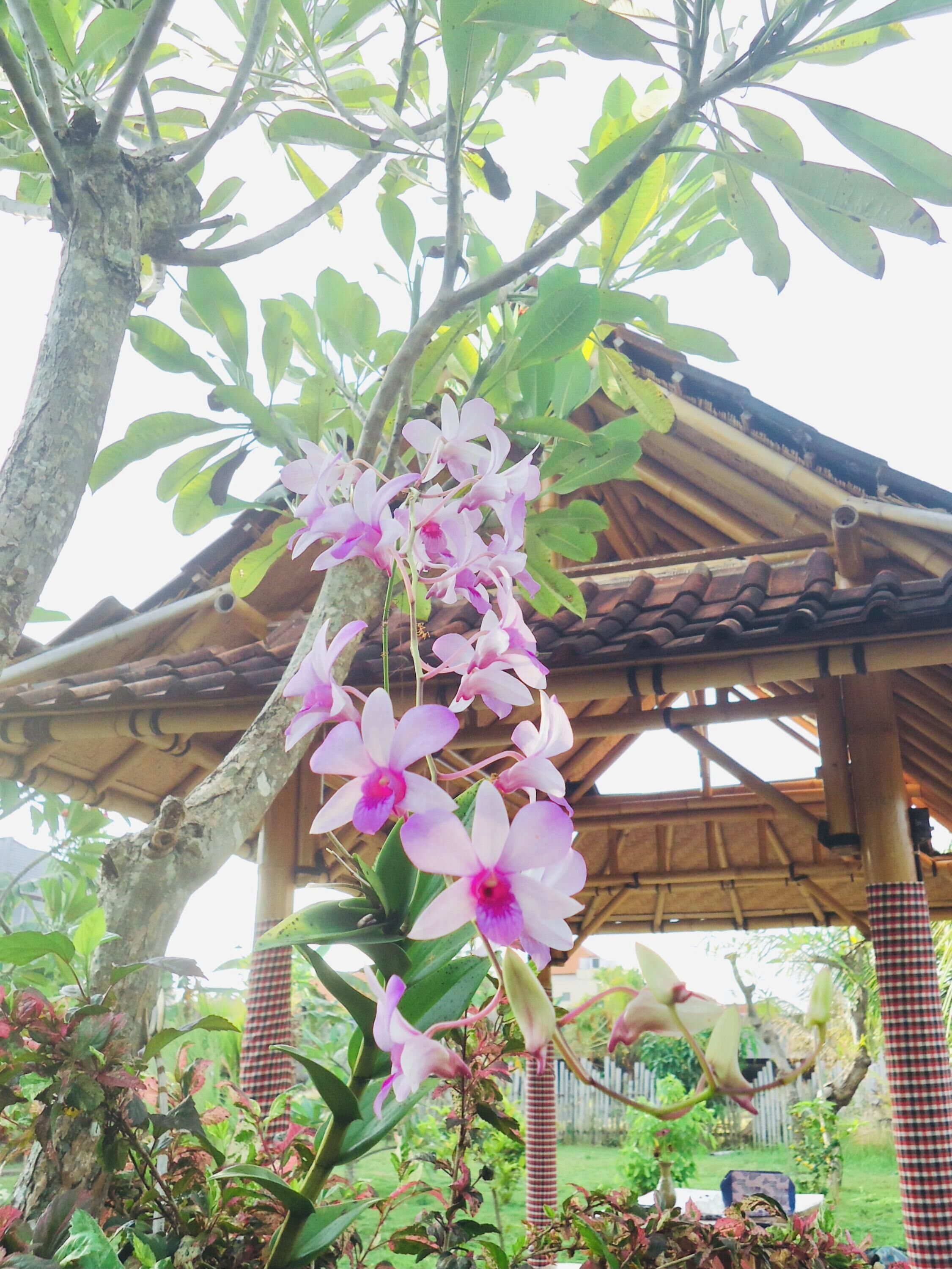 Sriwedari House Keramas