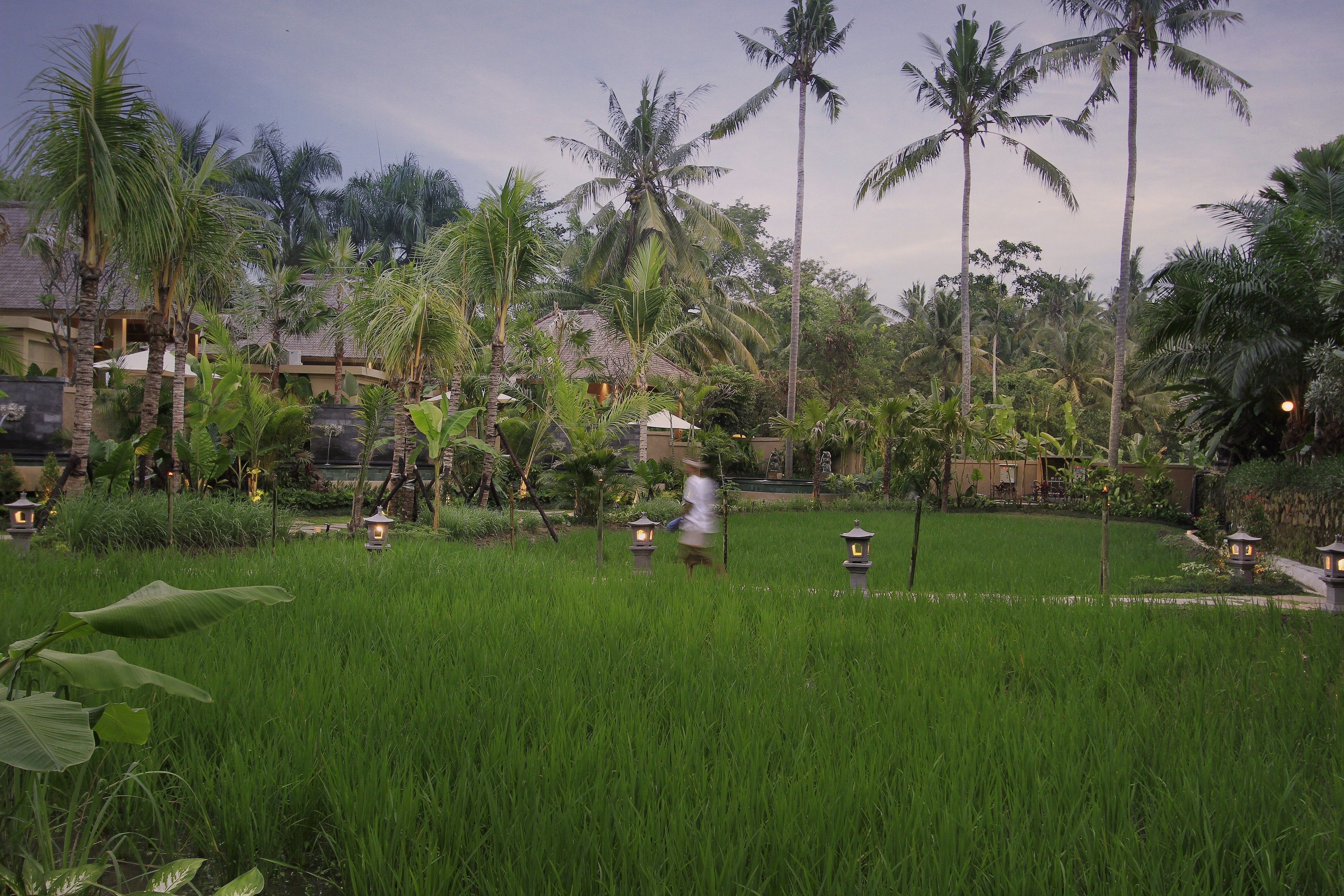 The Sankara Resort by Pramana