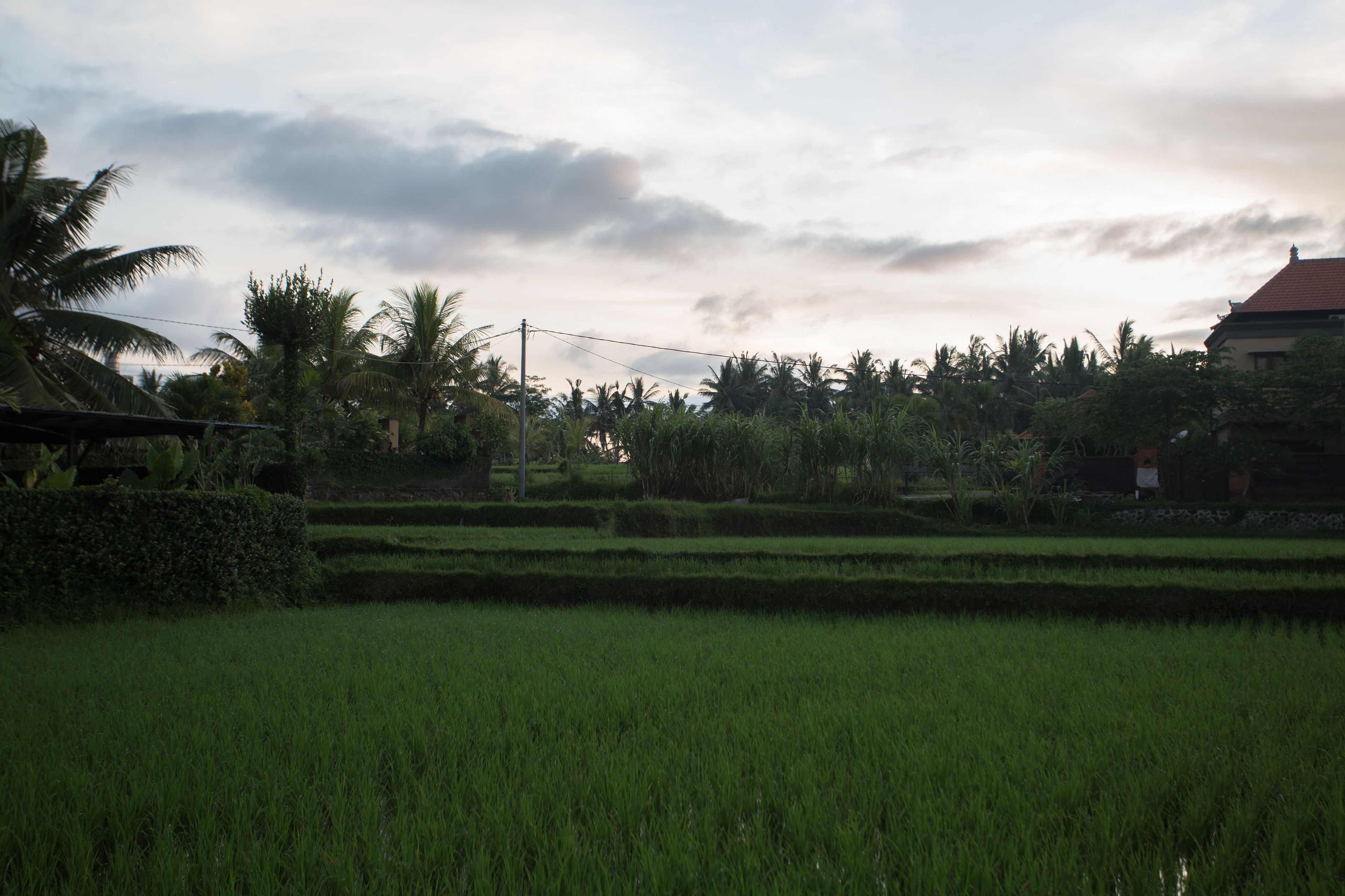 The Sankara Resort by Pramana