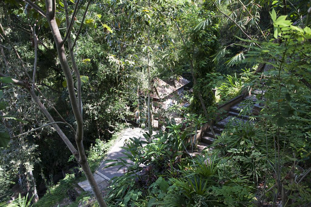 Ubud Dedari Villas