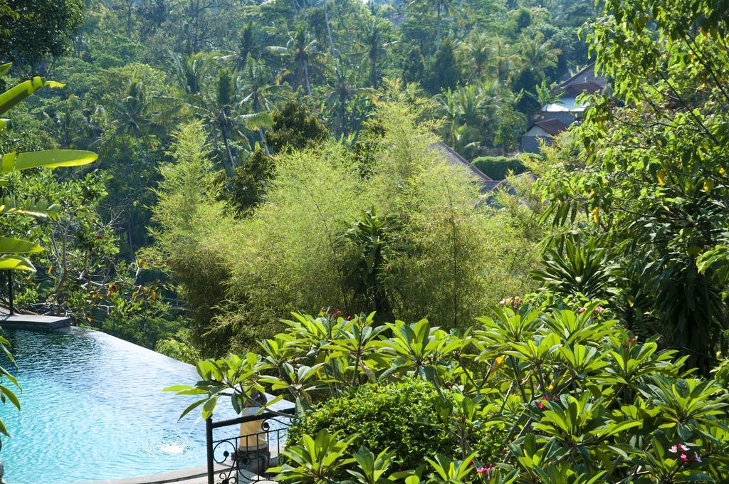 Ubud Dedari Villas