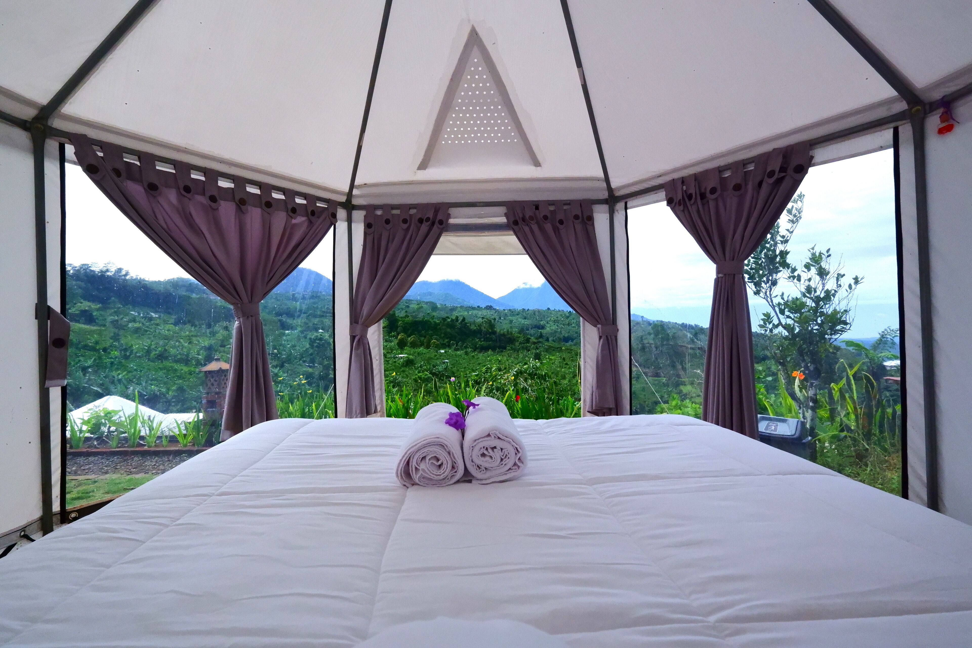 Alam Kita Glamping & Plantation