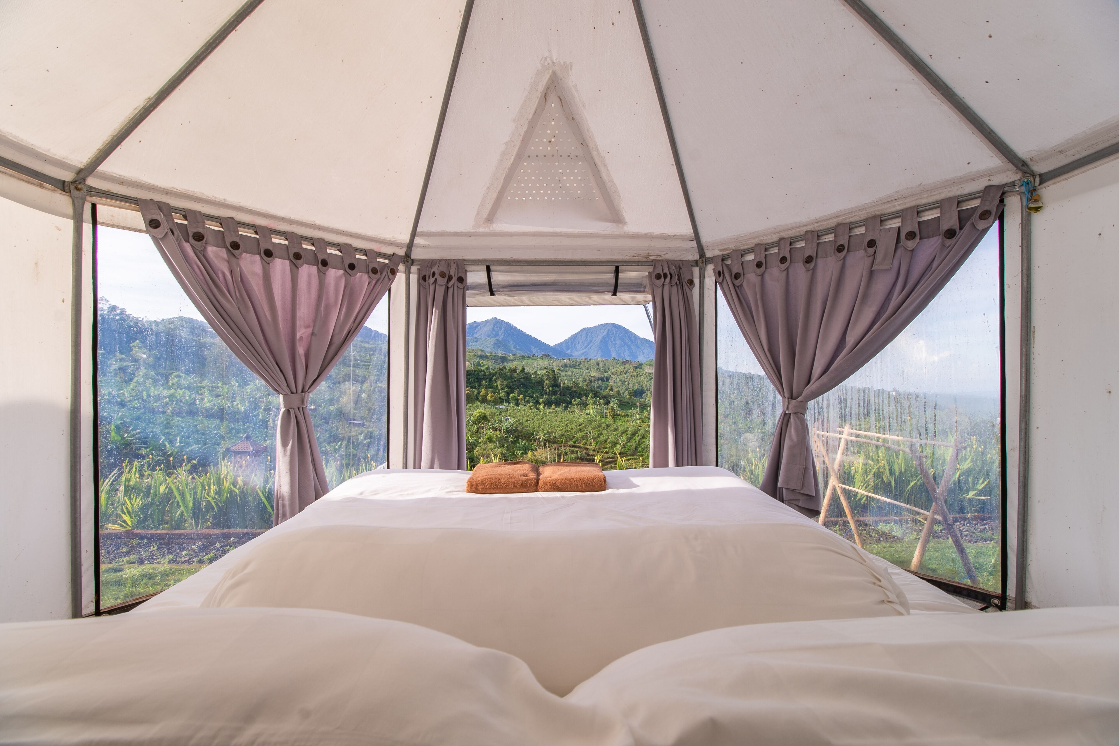 Alam Kita Glamping & Plantation