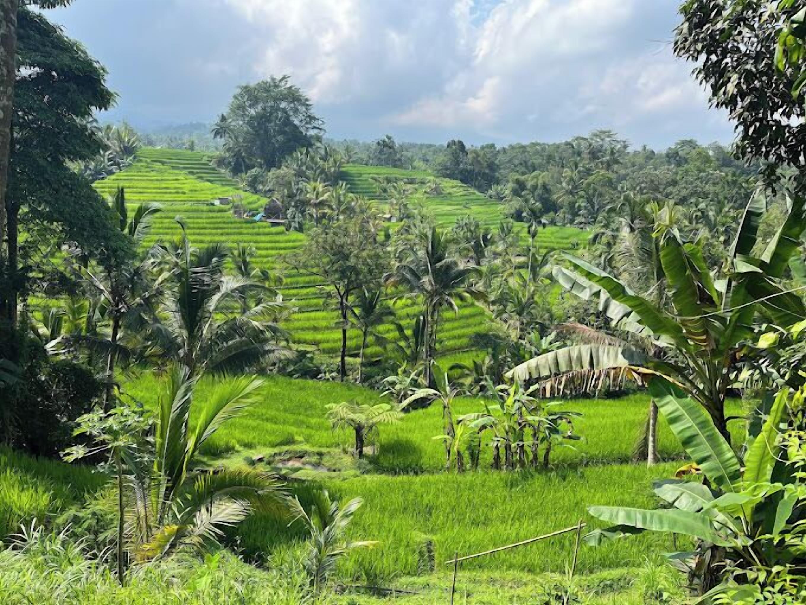Saridevi Ecolodge