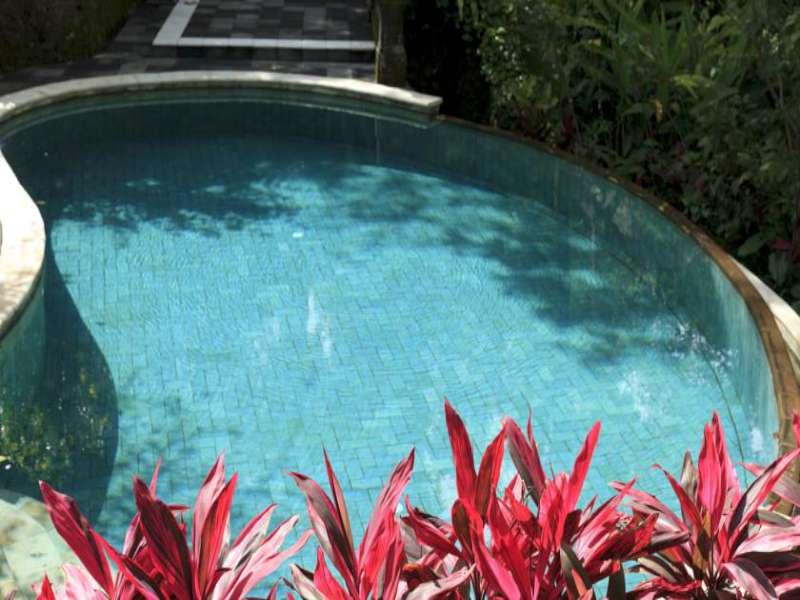 Bali She Villas