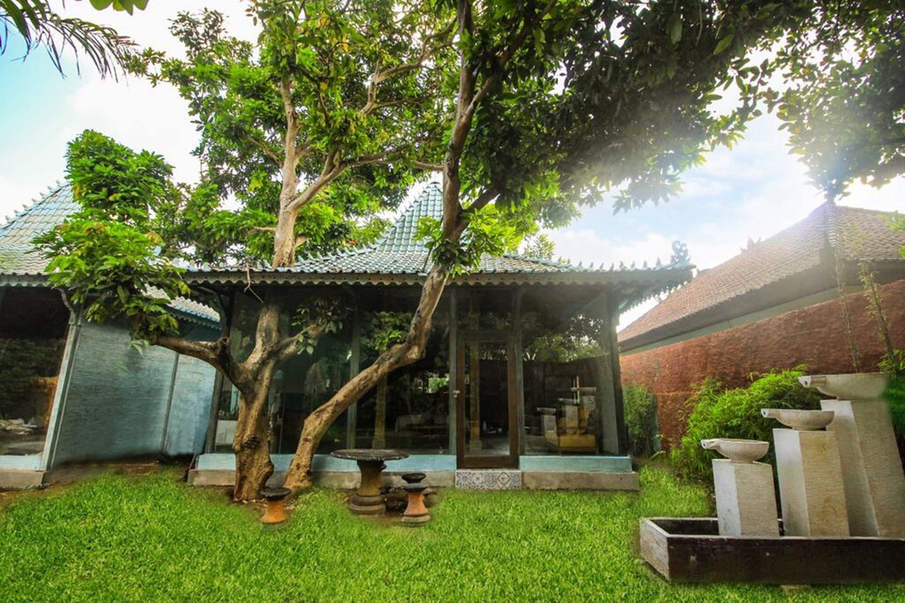 Kupu Kupu Jimbaran