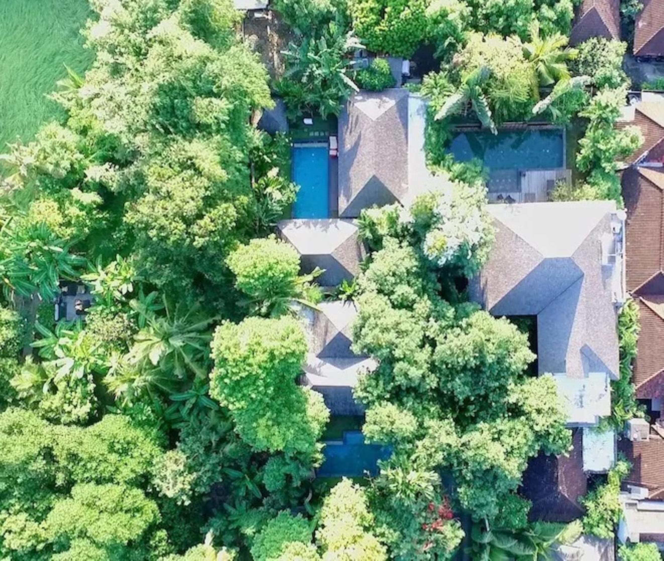 Mango Tree Villas