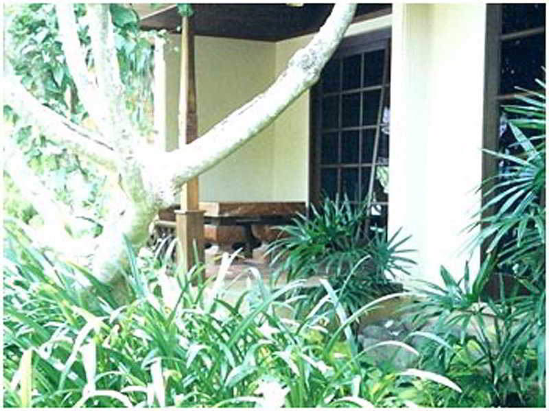 Puri Bambu