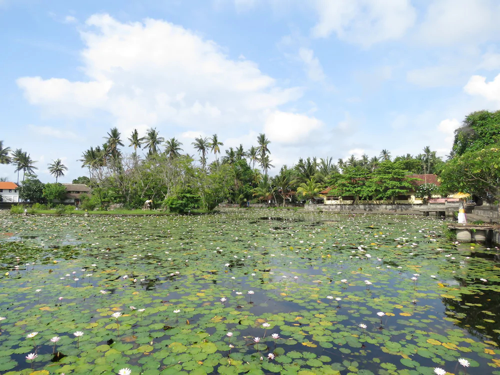 Arco Iris Restaurant