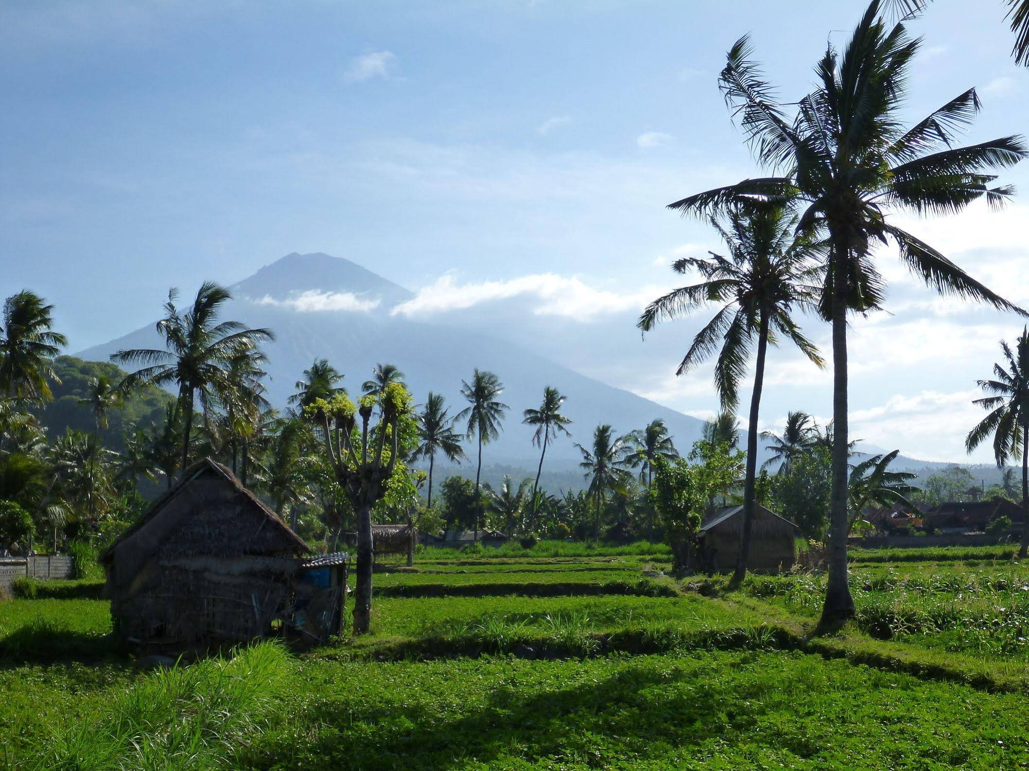 Bali Fab Dive Center - Hostel