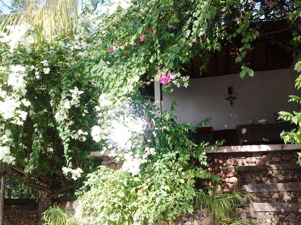 Baliku Dive Resort